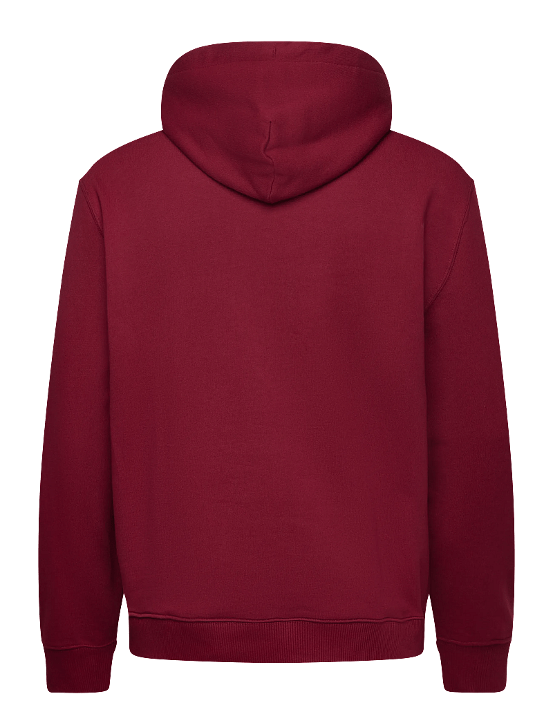 Calvin Klein Jeans - LS EU 350TERRY MONOGRAM HOODIE - kapuutsiga dressipluusid - renaissance red - 2