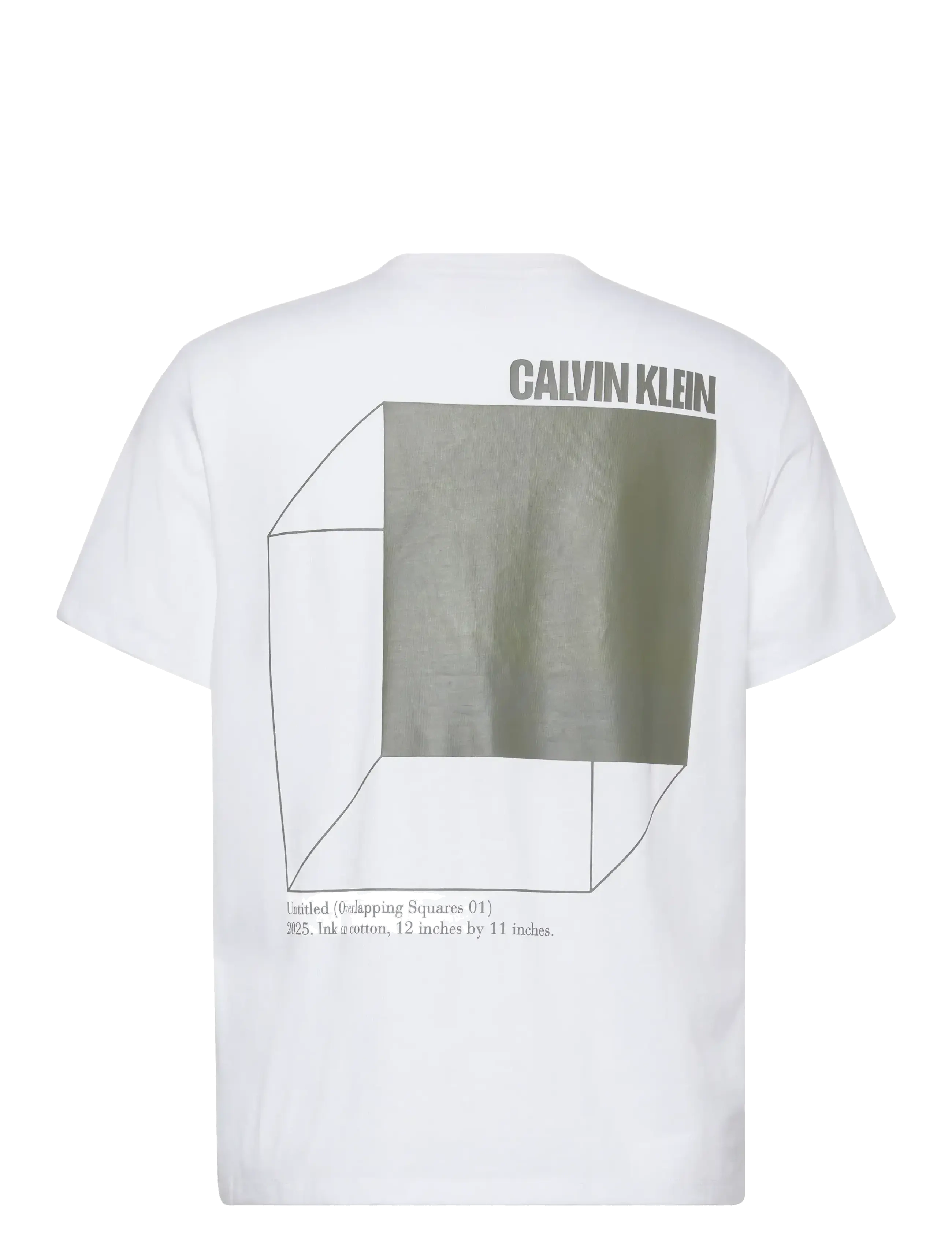 Calvin Klein Jeans - SS 20s CALVIN LINE 3DBOX GRAPHIC - lühikeste varrukatega t-särgid - brilliant white - 2