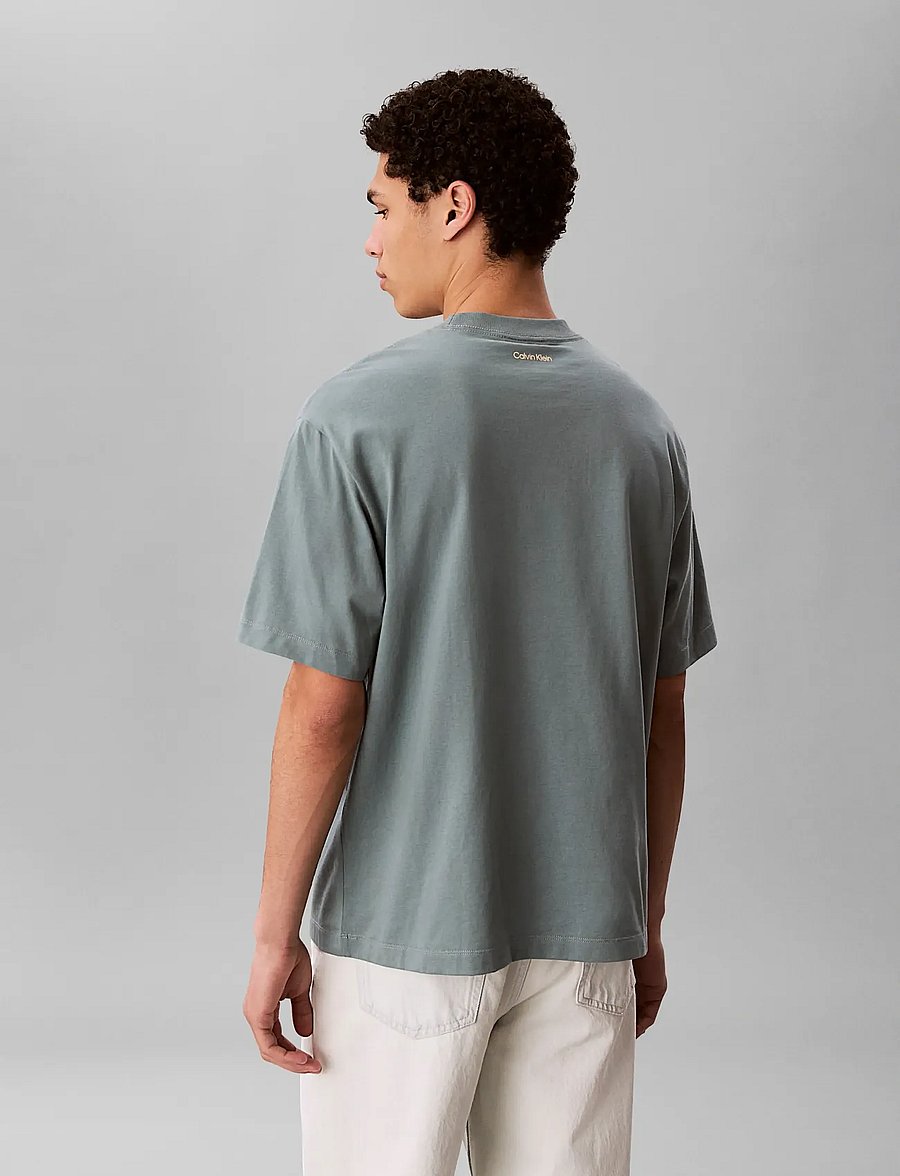 Calvin Klein Jeans - 16S APRIL GRAPHIC SEASONAL FASHI - short-sleeved t-shirts - frosted spruce - 2