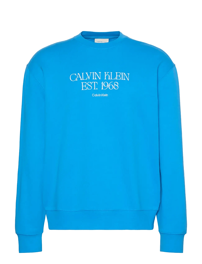 Calvin Klein Jeans - EU 350TERRY 1968 NYC GRAPHIC CN - sweatshirts - french blue - 1