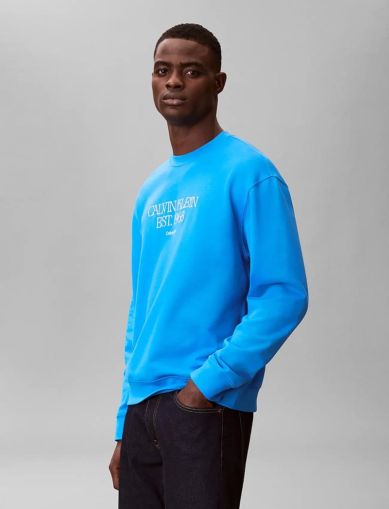 Calvin Klein Jeans - EU 350TERRY 1968 NYC GRAPHIC CN - sweatshirts - french blue - 0