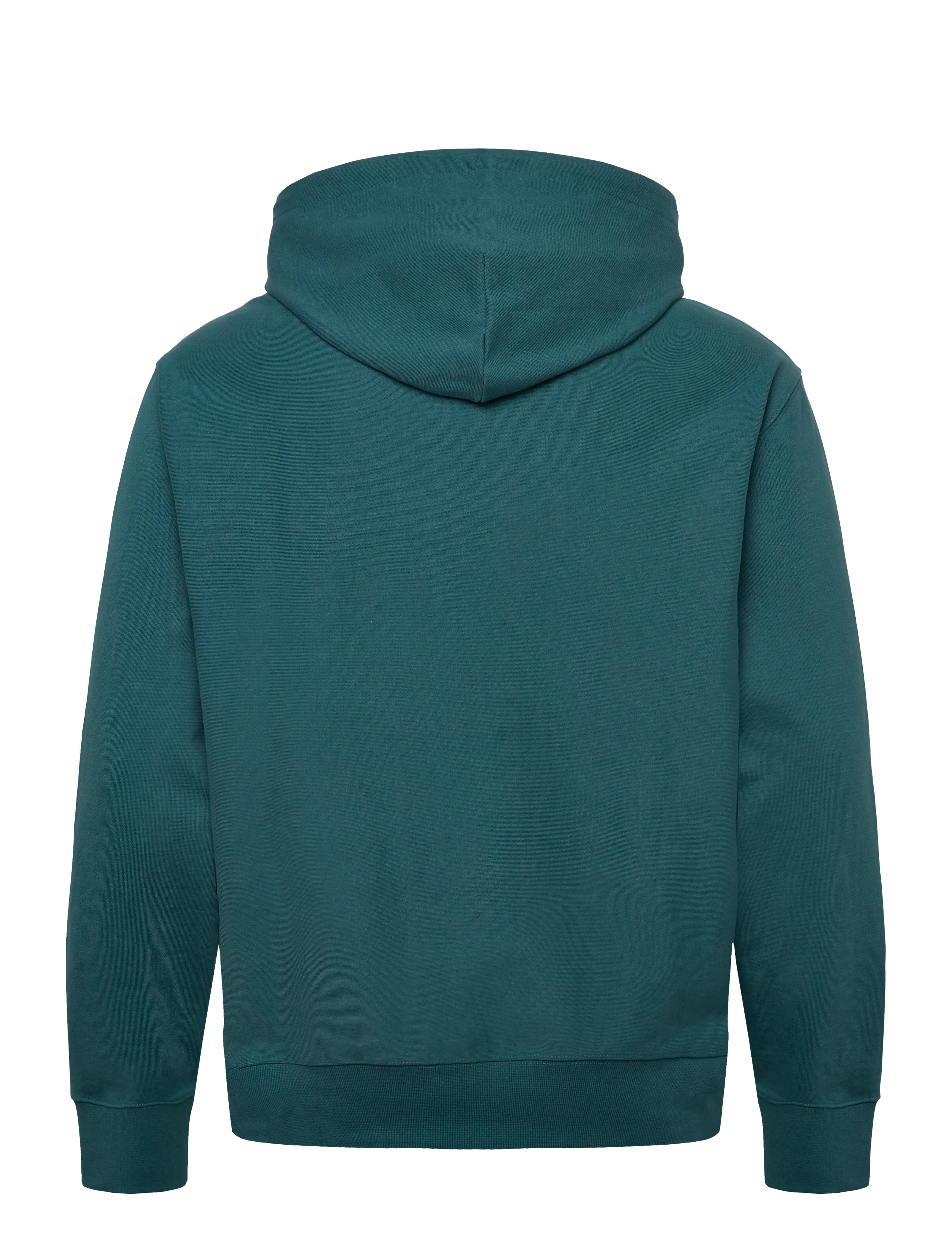 Calvin Klein Jeans - LS EZ PREMIUM TRRY MONOGRAM HDIE - kapuutsiga dressipluusid - tahoe green - 1