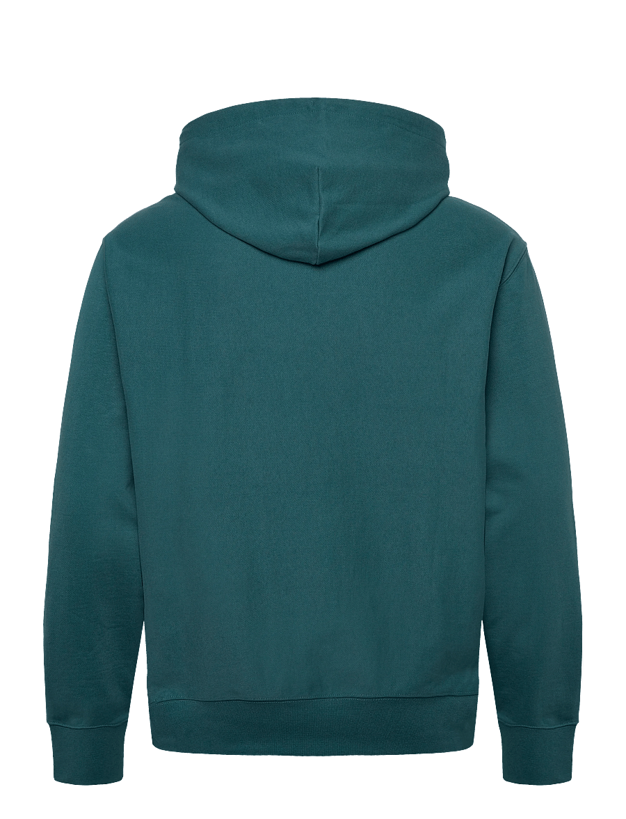 Calvin Klein Jeans - LS EZ PREMIUM TRRY MONOGRAM HDIE - kapuzenpullover - tahoe green - 2