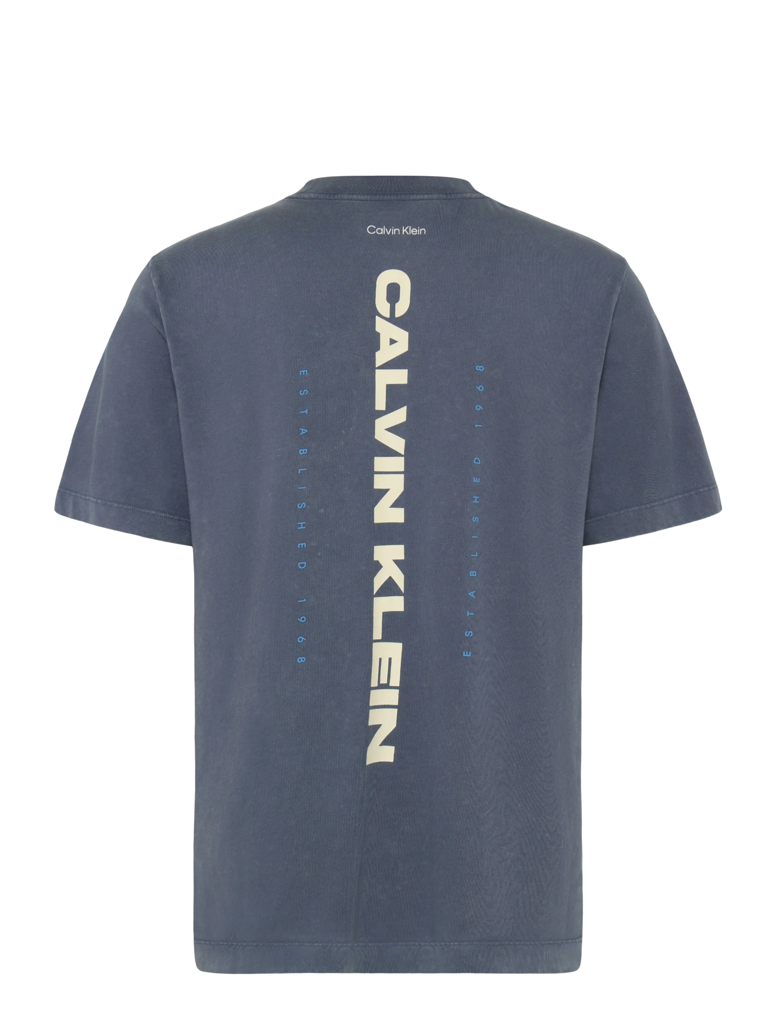 Calvin Klein Jeans - SS 20S WASHED SPINE GRAPHIC TEE - kurzärmelig - blue nomad - 2