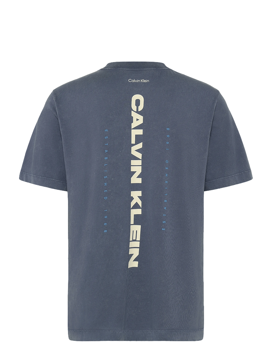 Calvin Klein Jeans - SS 20S WASHED SPINE GRAPHIC TEE - kurzärmelig - blue nomad - 2