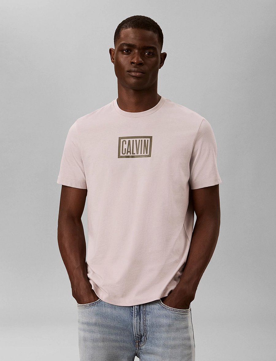 Calvin Klein Jeans - SS 30S EU BOXED CALVIN GRAPHIC T - lühikeste varrukatega t-särgid - ashes of roses - 3