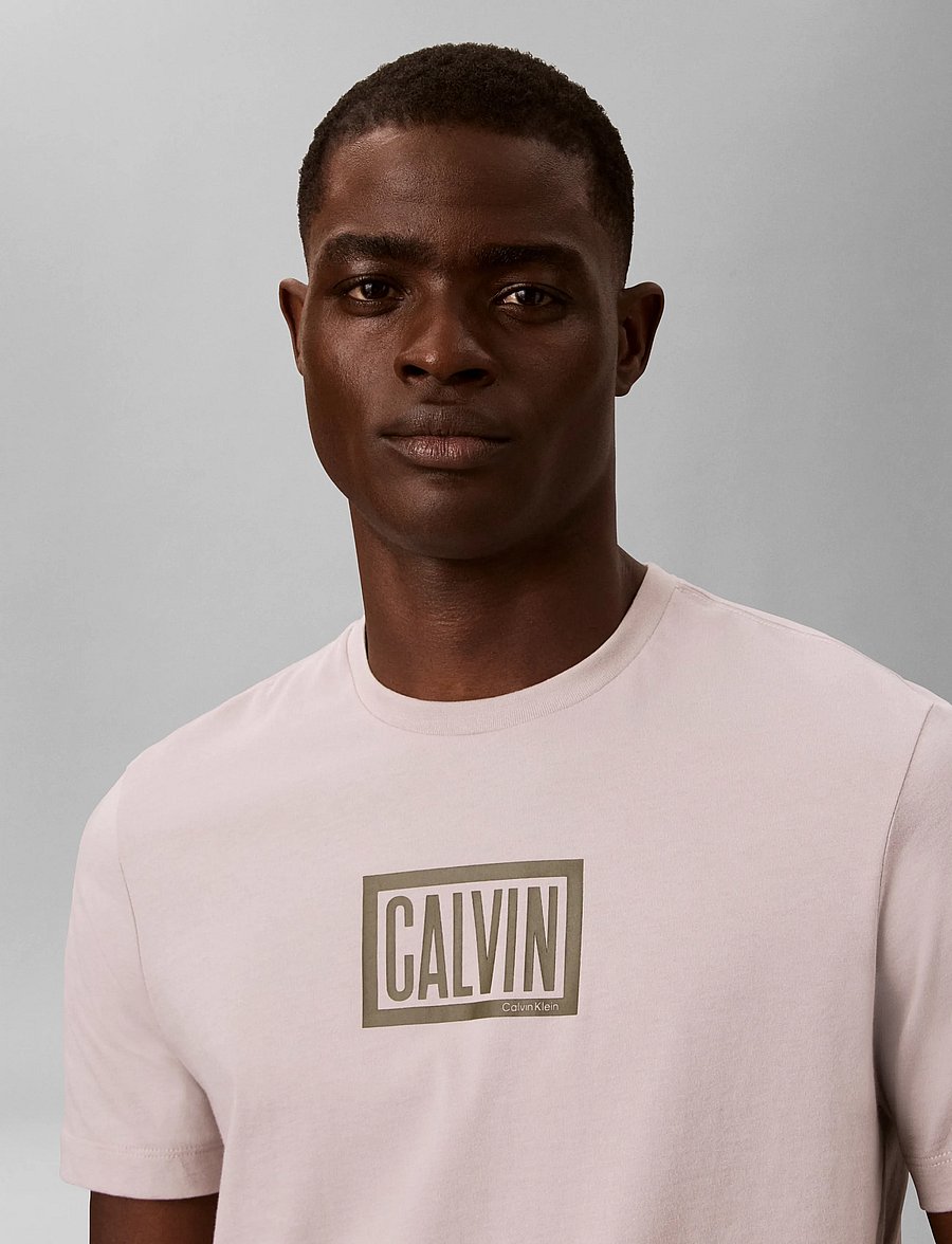 Calvin Klein Jeans - SS 30S EU BOXED CALVIN GRAPHIC T - lühikeste varrukatega t-särgid - ashes of roses - 4