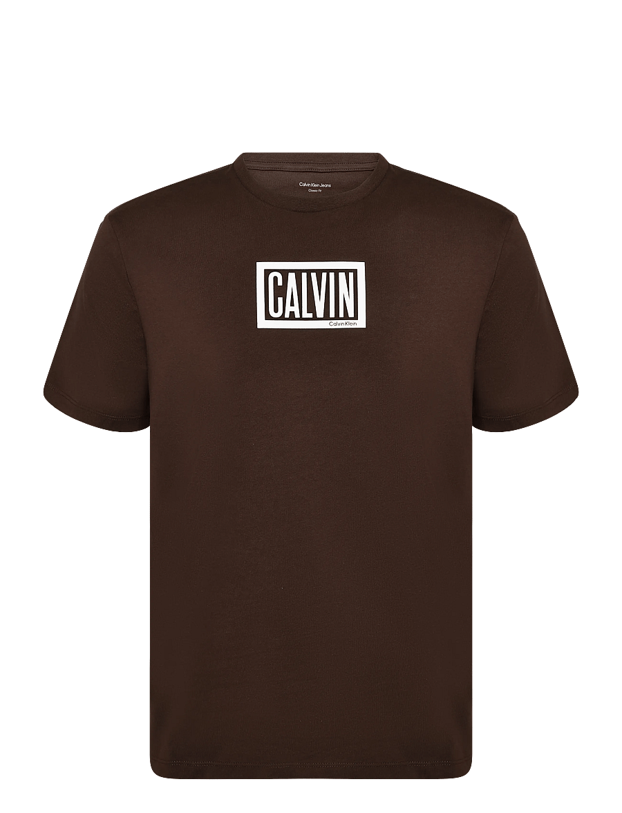 Calvin Klein Jeans - SS 30S EU BOXED CALVIN GRAPHIC T - kortärmade t-shirts - brown cork - 0