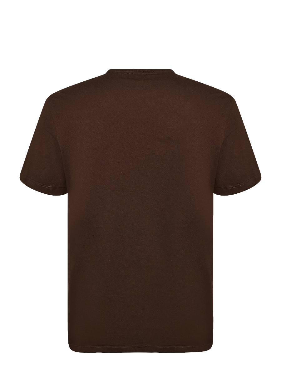 Calvin Klein Jeans - SS 30S EU BOXED CALVIN GRAPHIC T - kortärmade t-shirts - brown cork - 1