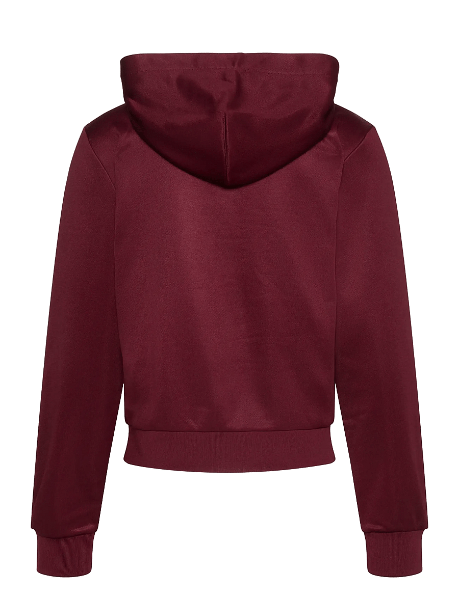 Calvin Klein Jeans - LS HIGH SHINE FRENCH TERRY HOODI - pulls à capuche - deep rouge - 1