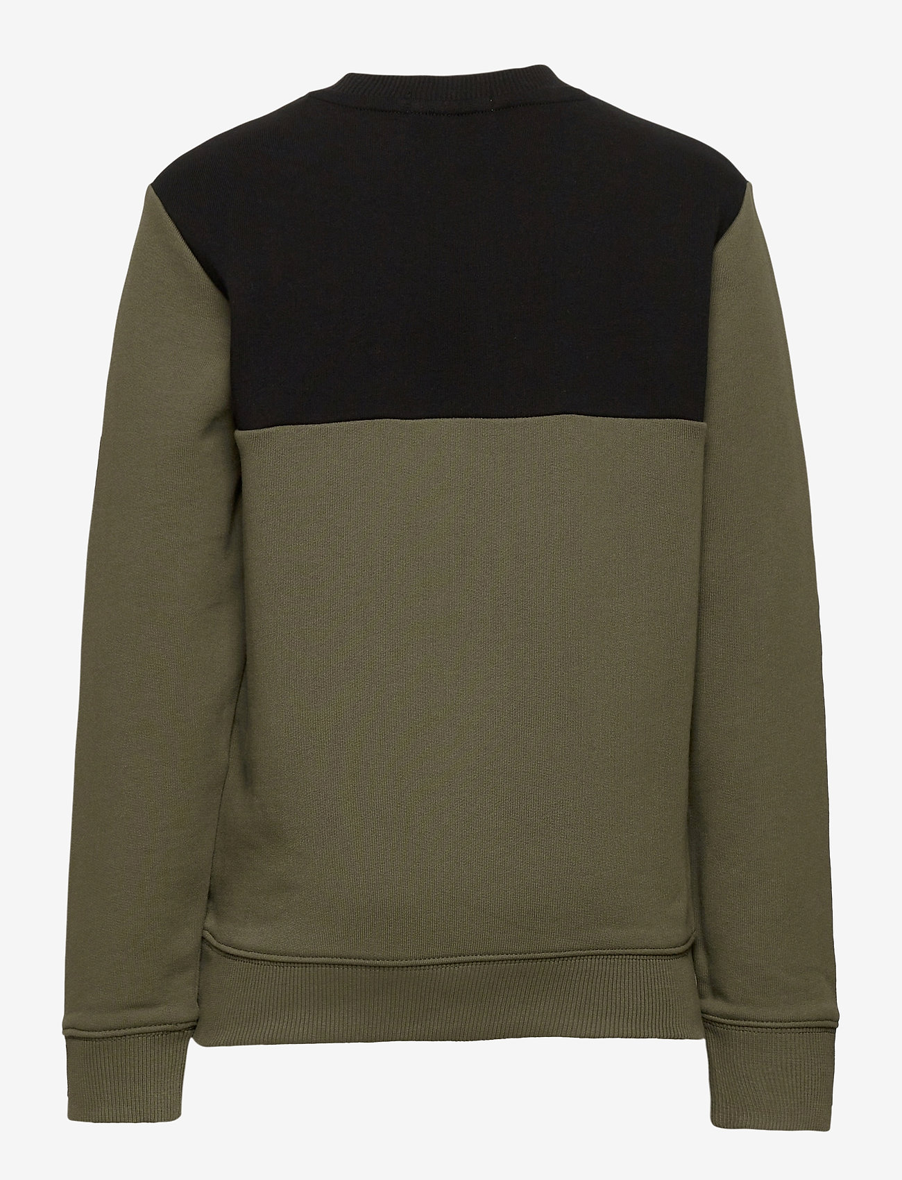 Calvin Klein - MONOGRAM COLOUR BLOCK SWEATSHIRT - grape leaf - 1