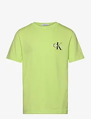 Calvin Klein - CHEST MONOGRAM TOP - krótki rękaw - sharp green - 0