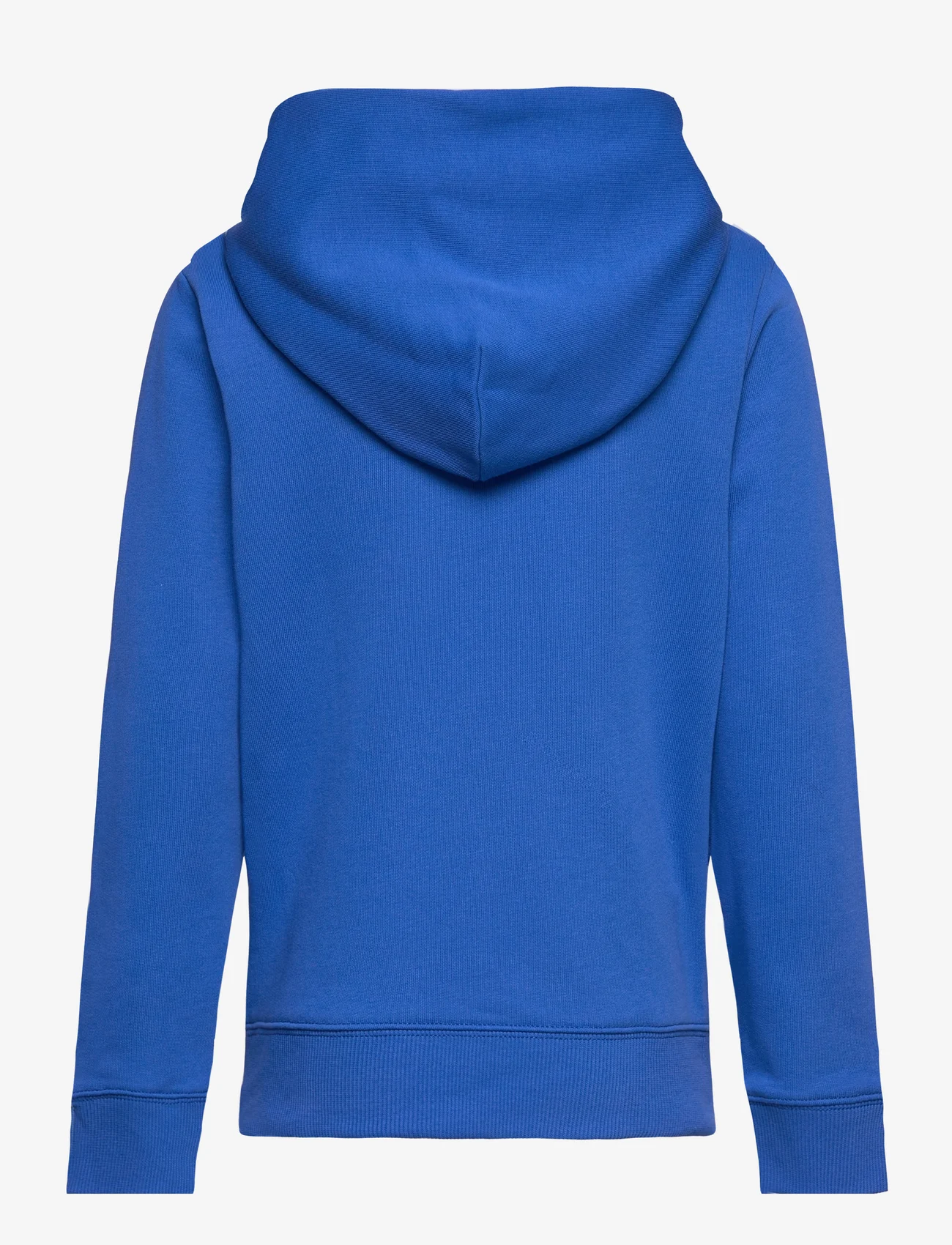 Calvin Klein - CKJ STACK LOGO HOODIE - bluzy z kapturem - kettle blue - 1