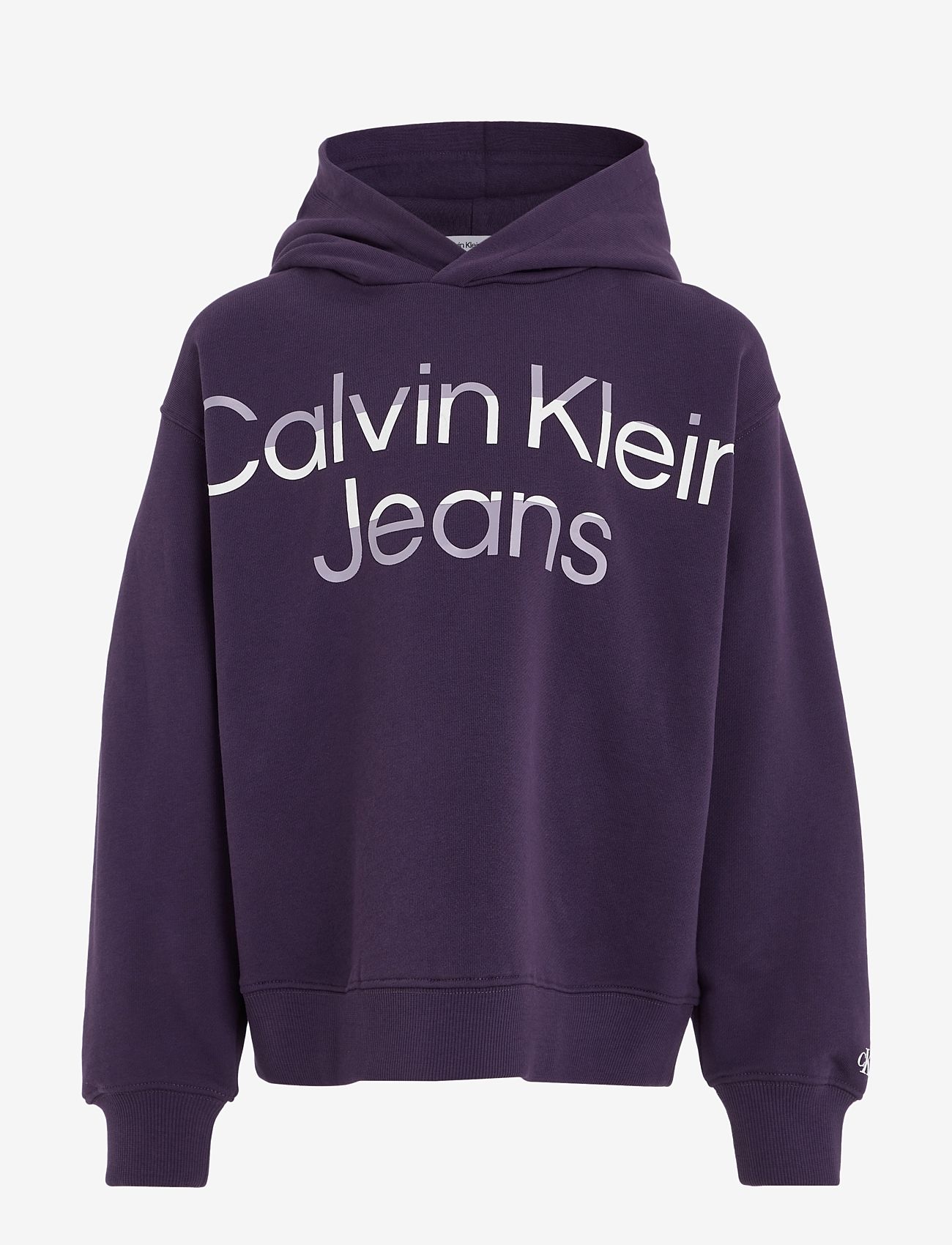 Calvin Klein - HERO MAXI LOGO TERRY HOODIE - džemperiai su gobtuvu - purple velvet - 0