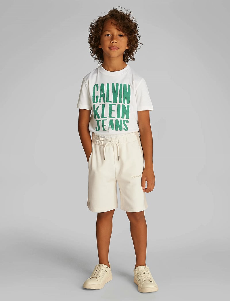 Calvin Klein - COLOR BLOCK RELAXED SHORTS - sweatshorts - oyster gray - 0