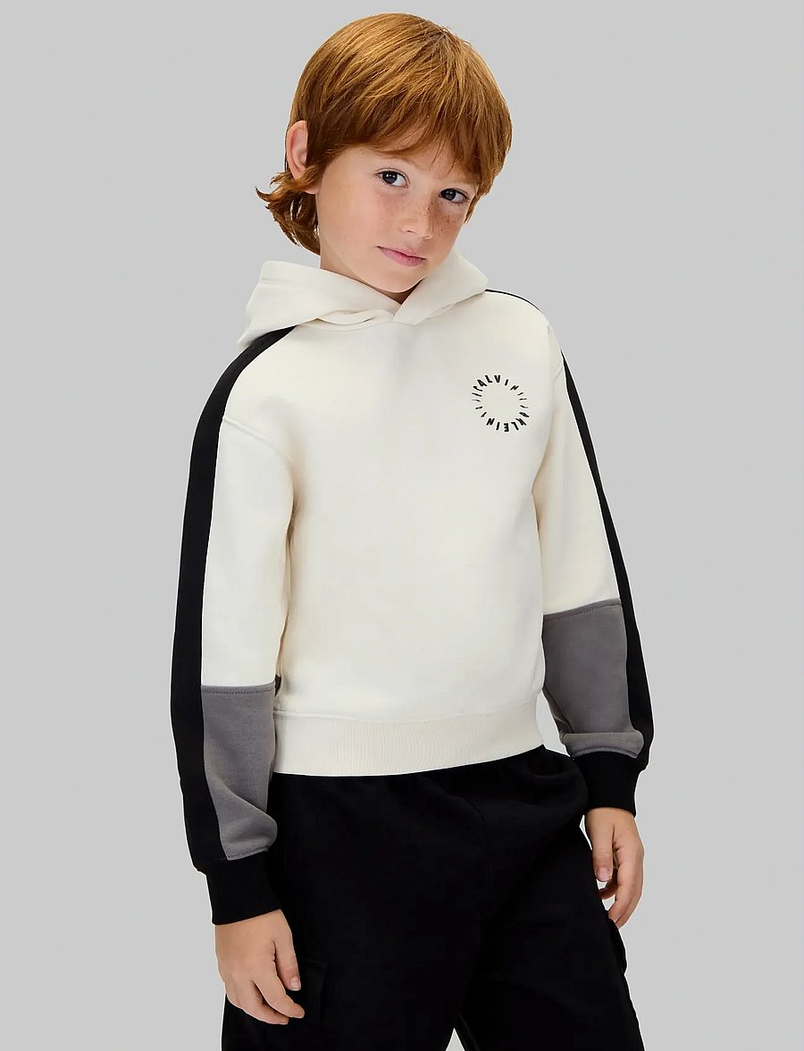 Calvin Klein - BRUSHED FLEECE CLR BLOCK HOODIE - pulls à capuche - whitecap gray - 0