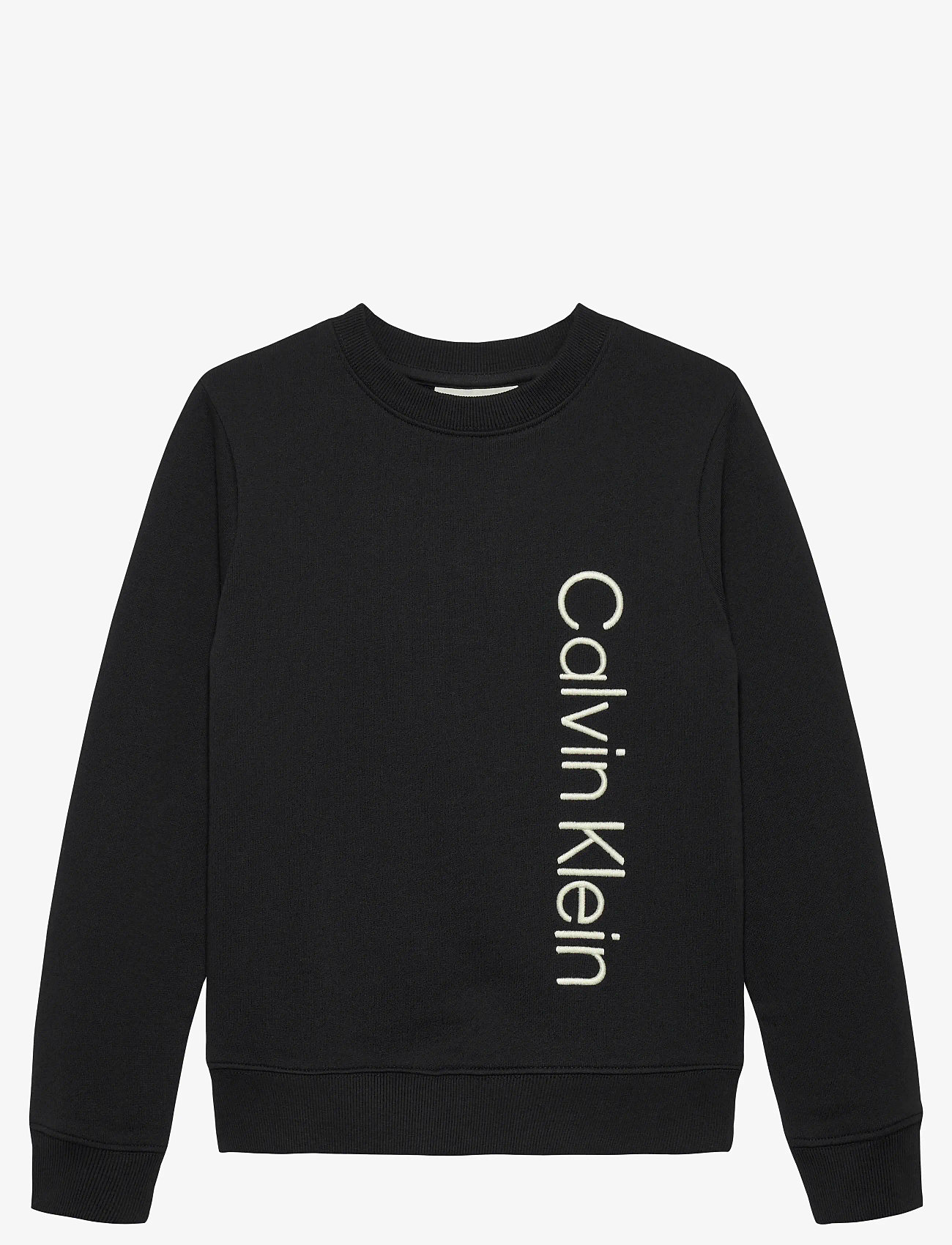 Calvin Klein - TERRY SIDE GRAPHIC CN SWEATSHIRT - sweatshirts - ck black - 1
