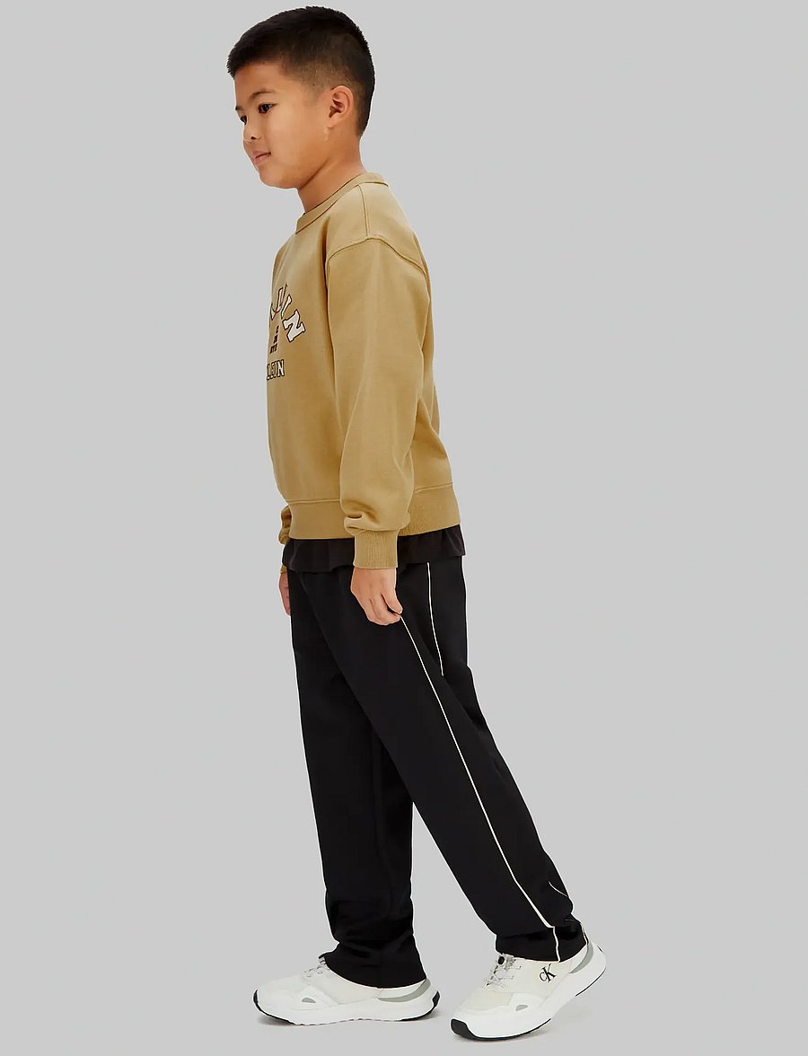 Calvin Klein - VARSITY CN SWEATSHIRT - sweatshirts - sandy beige - 5
