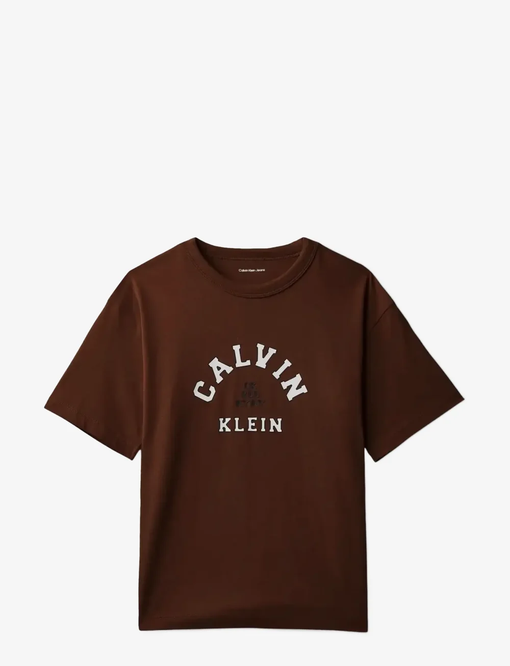 Calvin Klein - VARSITY GRAPHIC T-SHIRT S/S - kurzärmelige - legacy brown - 1