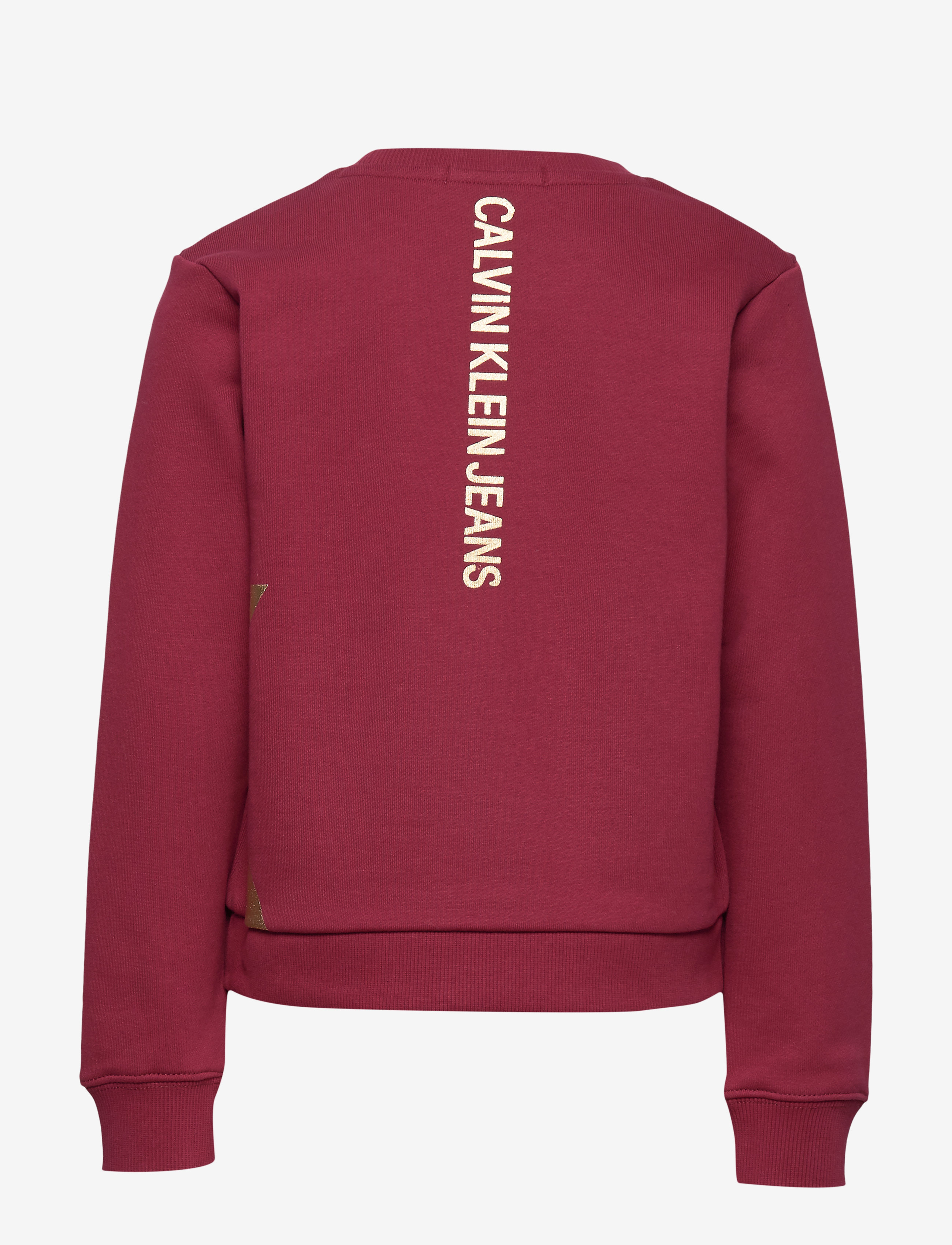 Calvin Klein - CK GOLD SWEATSHIRT - rumba red - 1