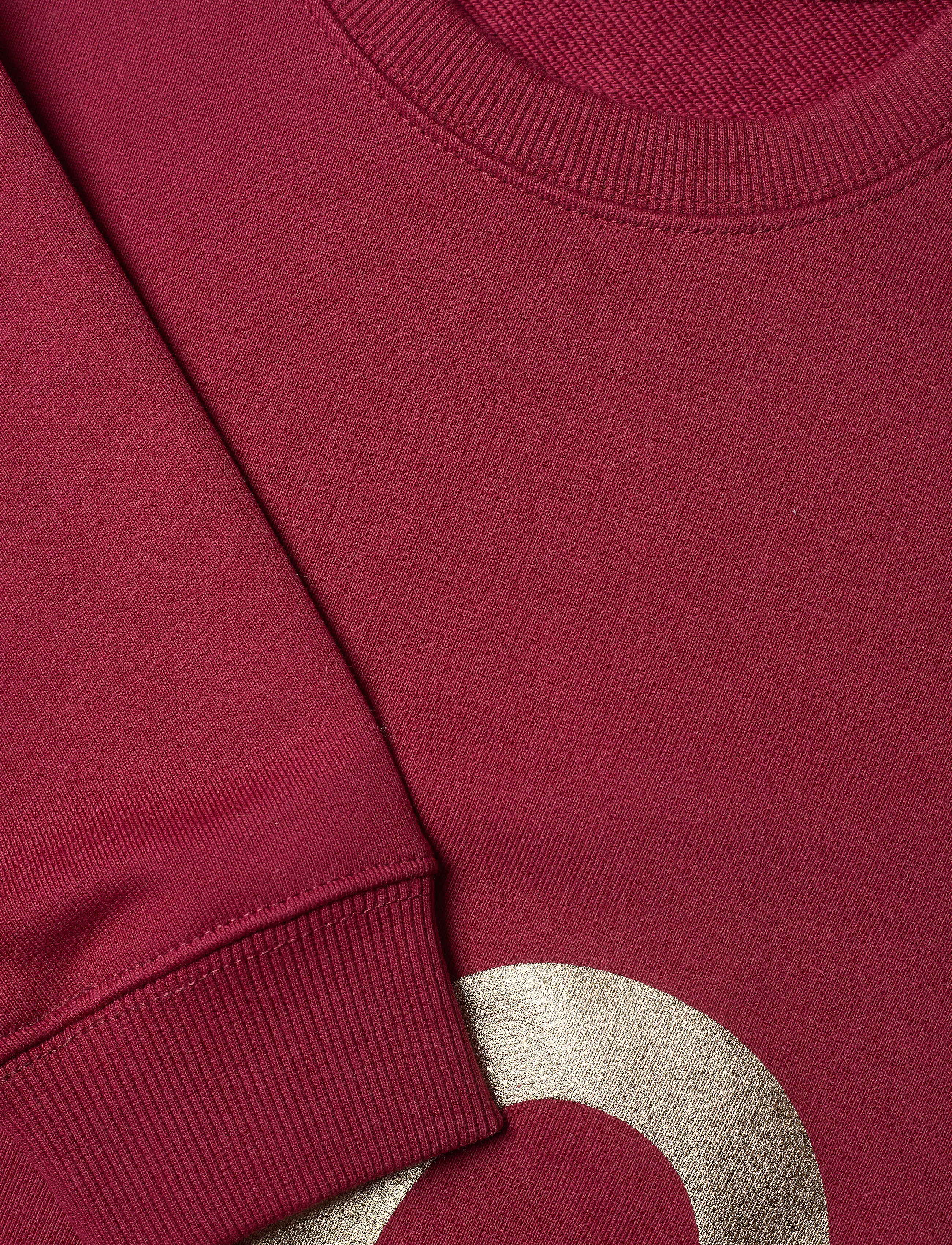 Calvin Klein - CK GOLD SWEATSHIRT - rumba red - 2