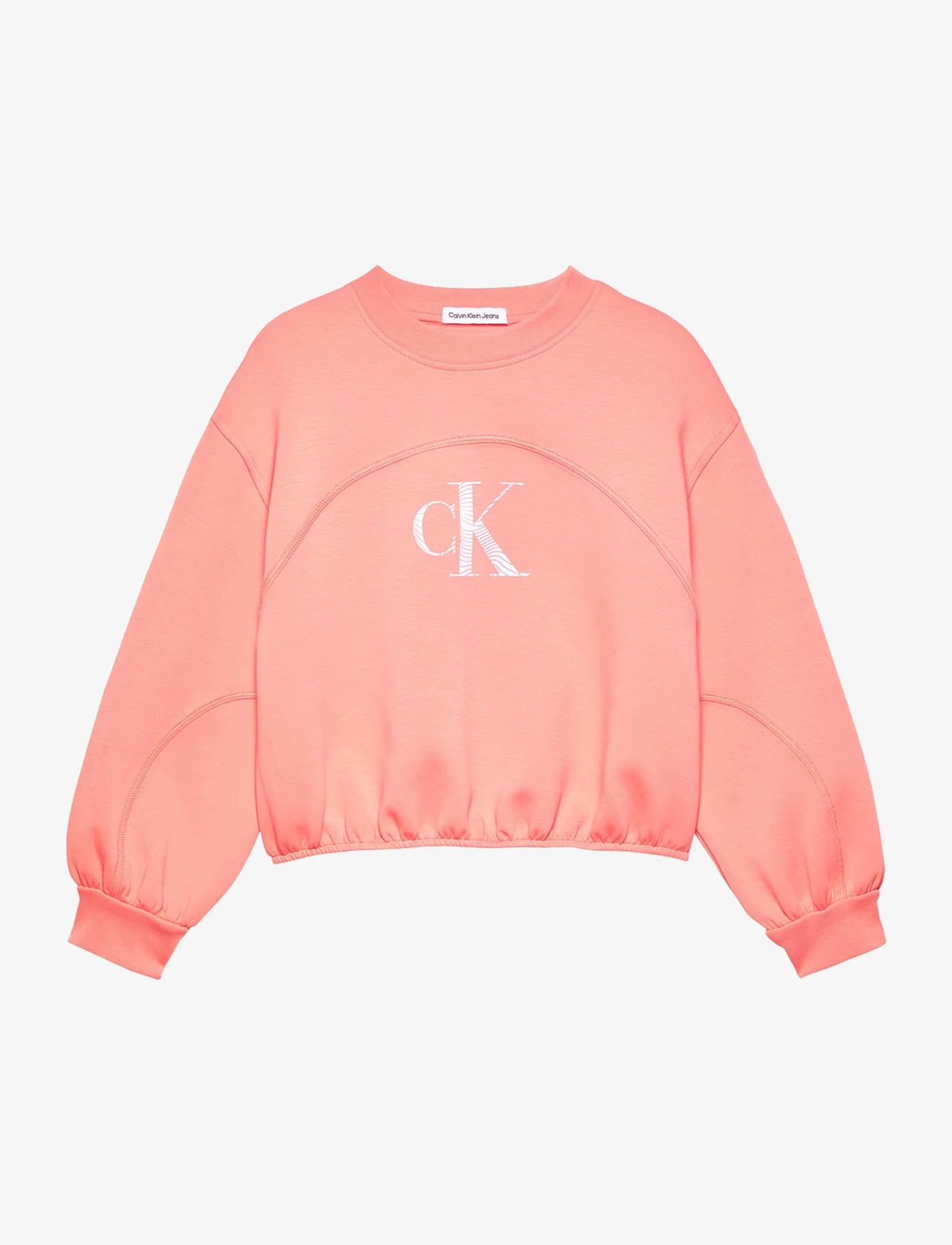 Calvin Klein - IRIDESCENT CK LOGO CN SWEATSHIRT - džemperiai - blooming dahlia - 0