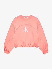 Calvin Klein - IRIDESCENT CK LOGO CN SWEATSHIRT - džemperiai - blooming dahlia - 0