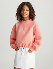 Calvin Klein - IRIDESCENT CK LOGO CN SWEATSHIRT - sweatshirts - blooming dahlia - 2