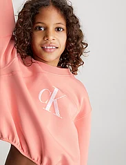 Calvin Klein - IRIDESCENT CK LOGO CN SWEATSHIRT - sweatshirts - blooming dahlia - 1