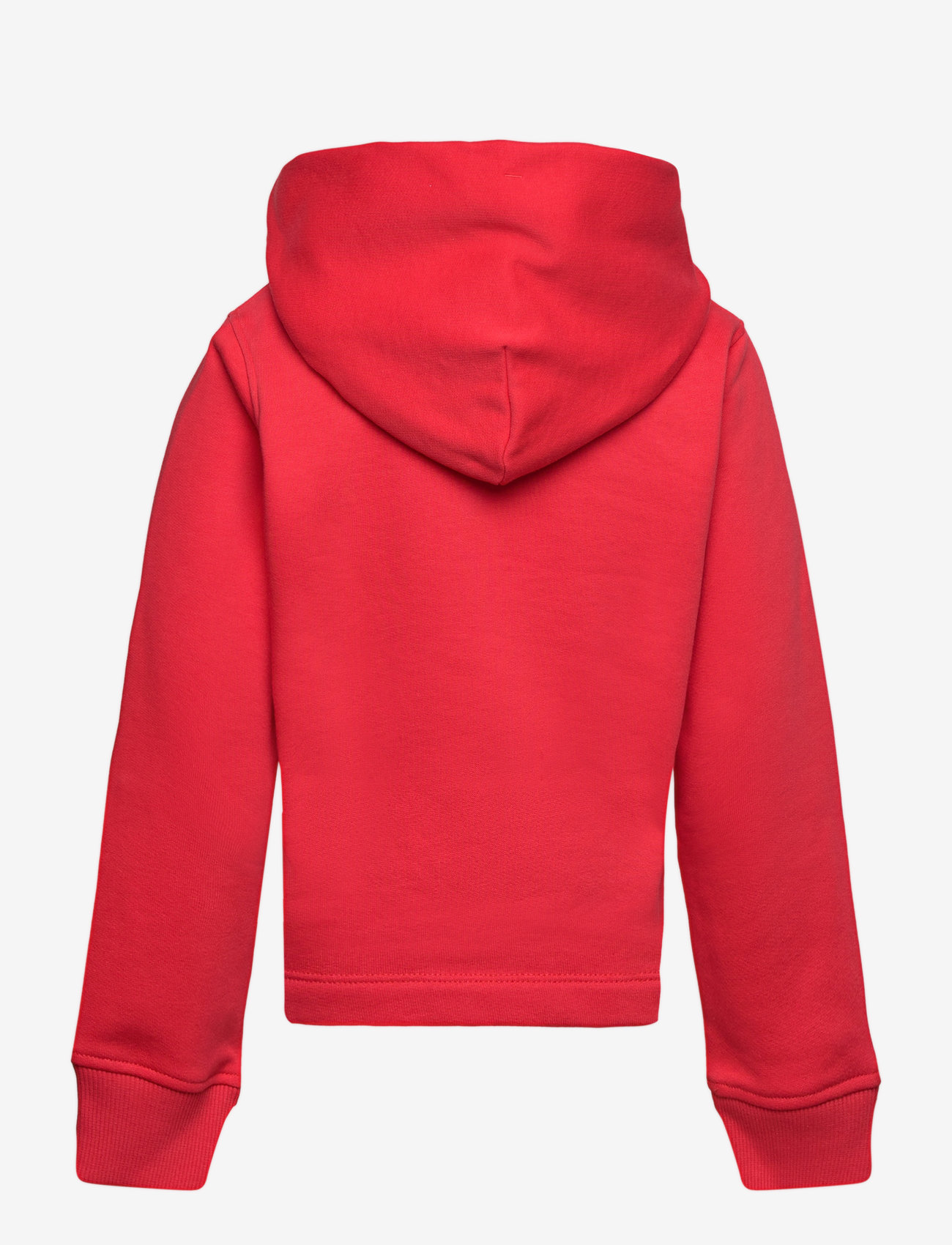 Calvin Klein - COLOUR LOGO FLEECE HOODIE - bittersweet - 2