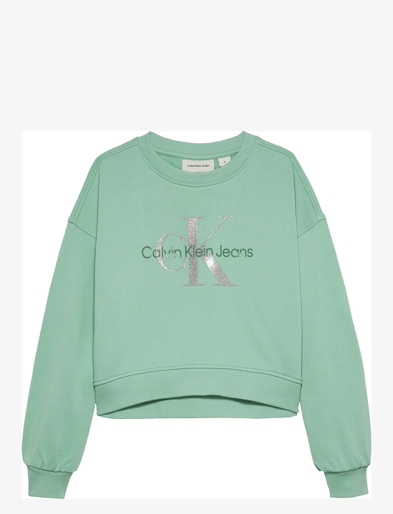 Calvin Klein - GLITTER MONOLOGO CN SWEATSHIRT - sweatshirts - tickled green - 0