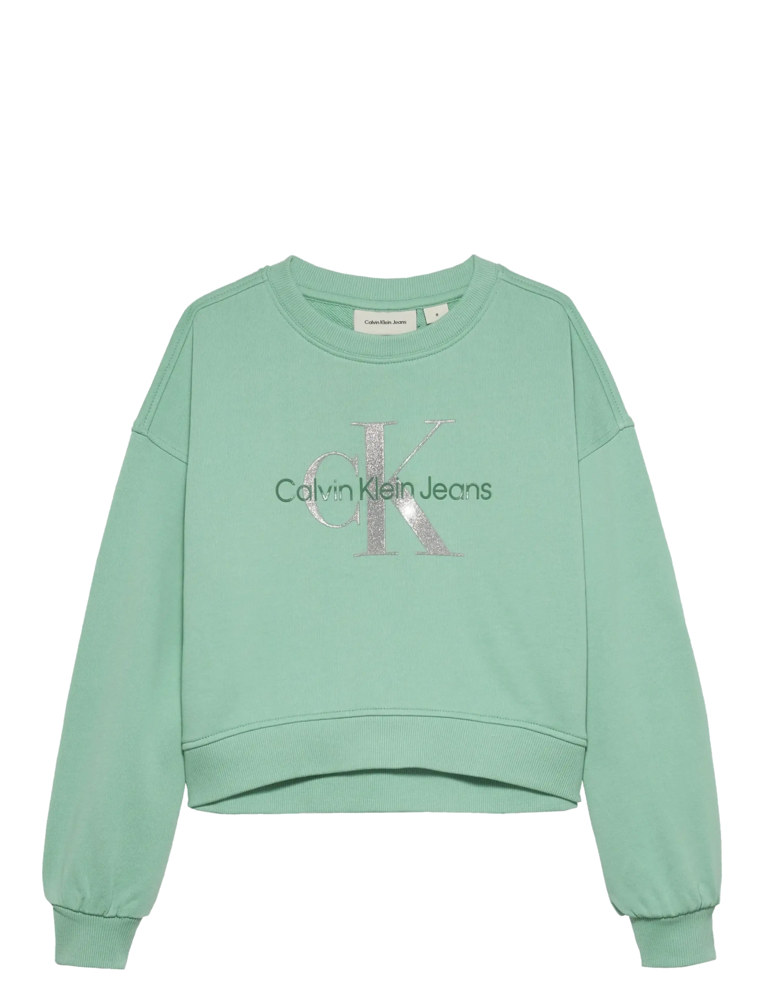 GLITTER MONOLOGO CN SWEATSHIRT - TICKLED GREEN