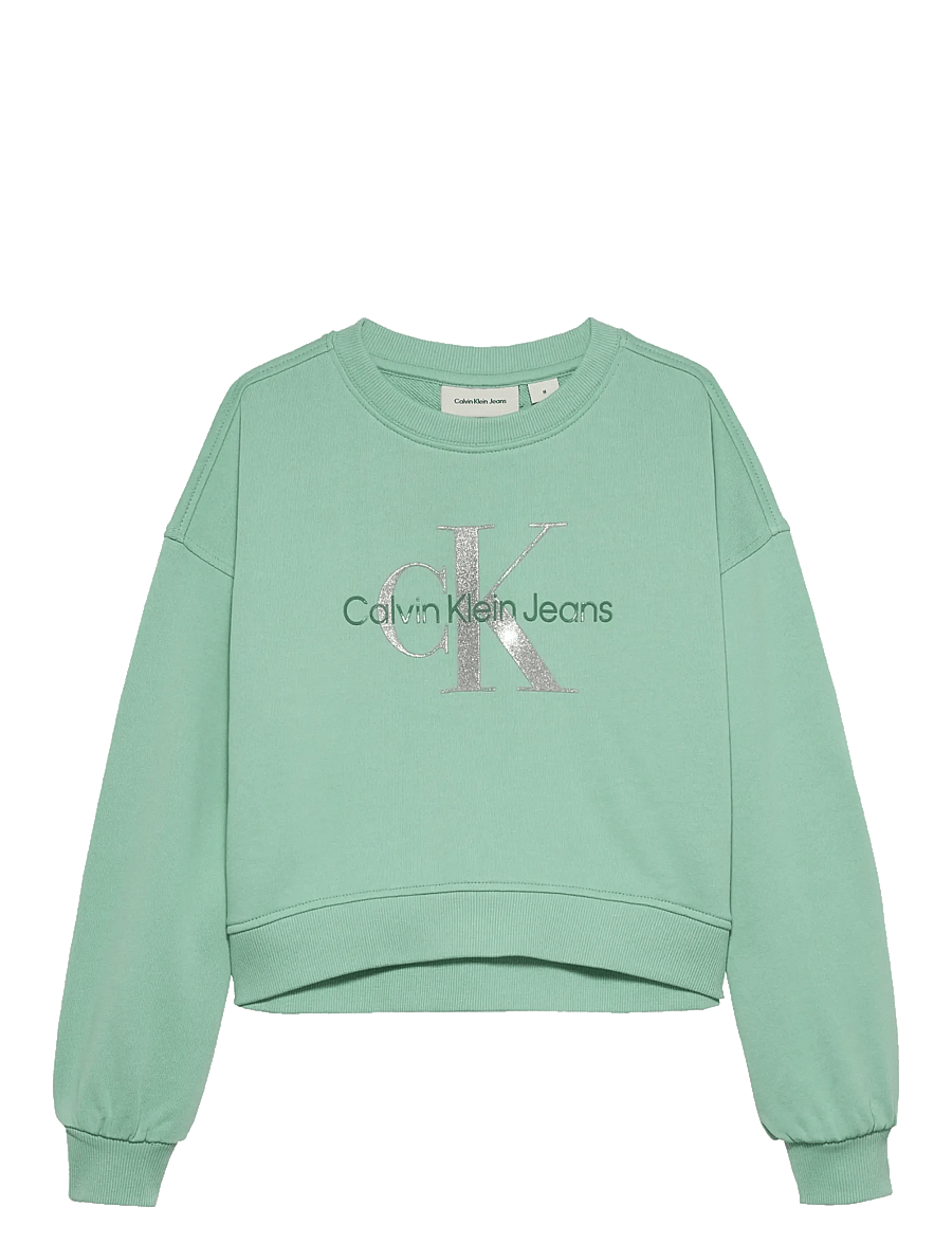 Calvin Klein - GLITTER MONOLOGO CN SWEATSHIRT - dressipluusid - tickled green - 0
