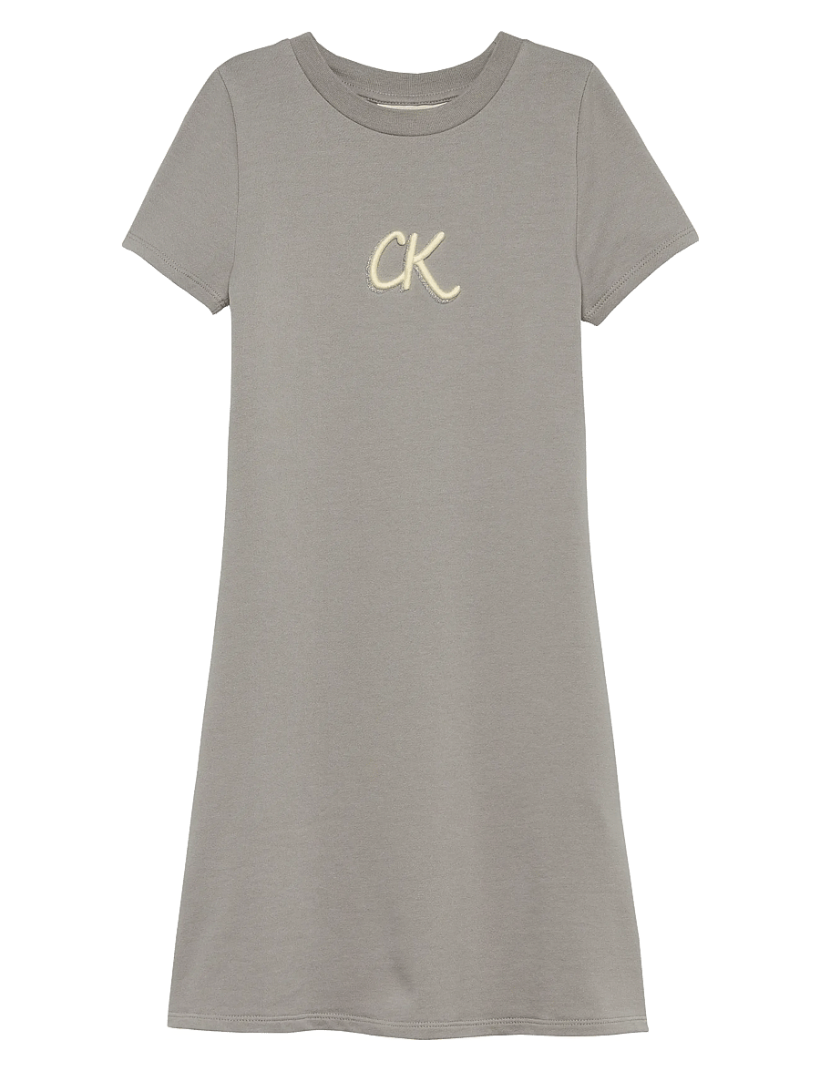 Calvin Klein - METALLIC PRINT LS A-ALINE DRESS - kurzärmelige freizeitkleider - mourning dove - 0
