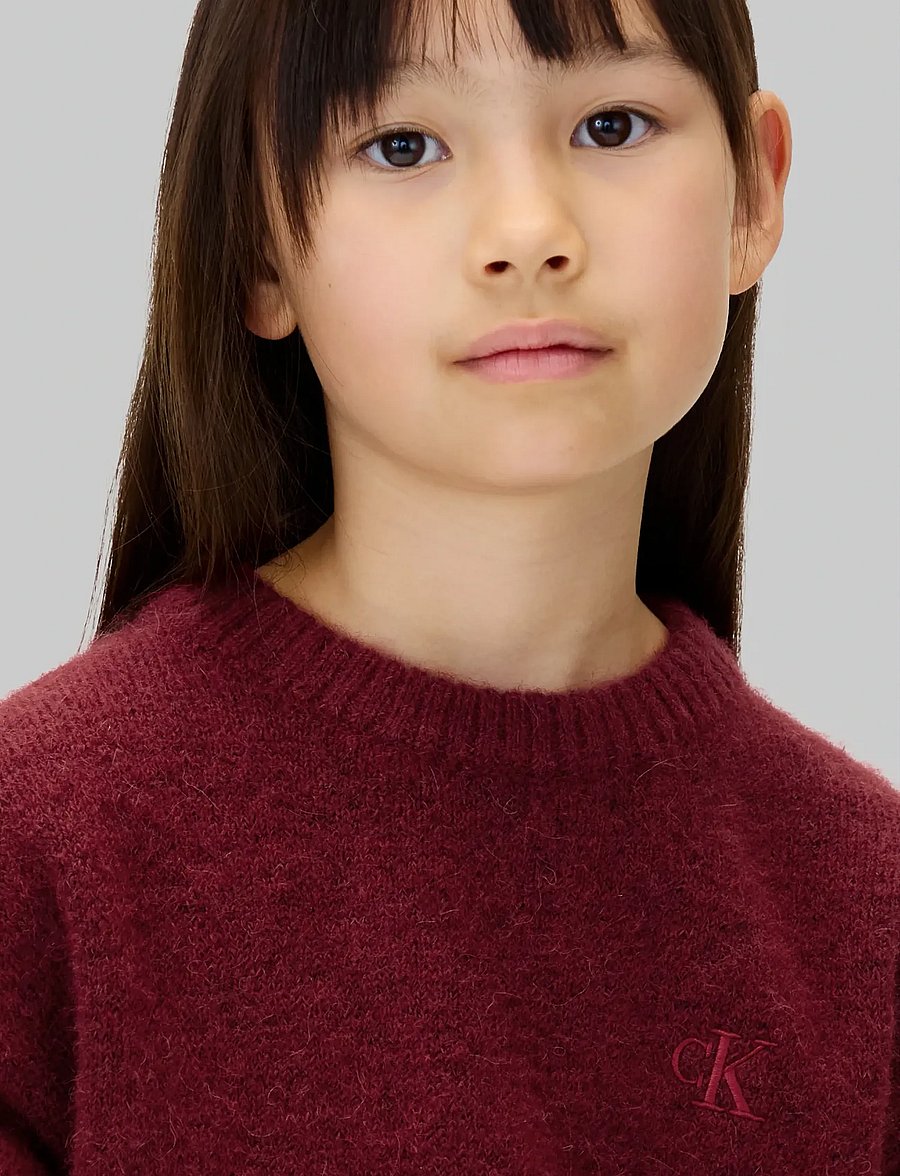 Calvin Klein - BOX PLEAT FLUFFY SWEATER - gensere - raspberry chocolate - 4