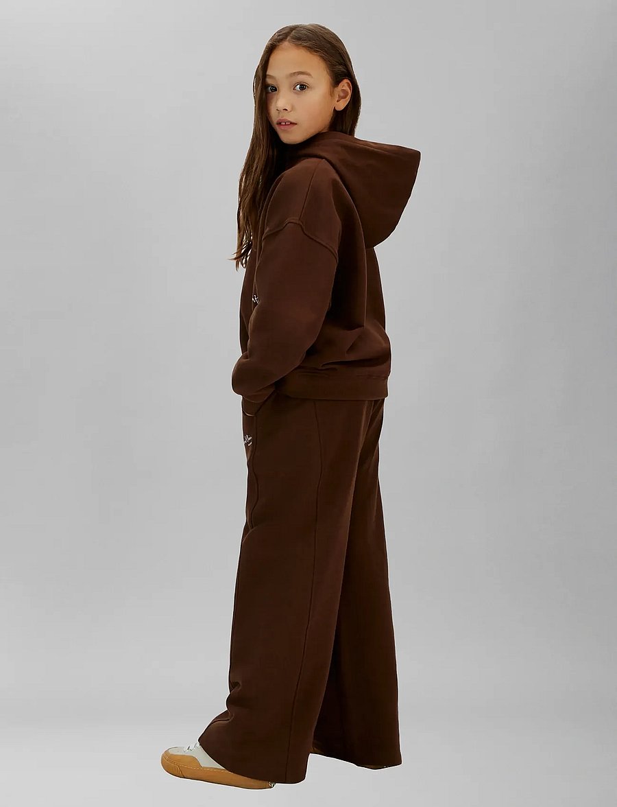 Calvin Klein - SIGNATURE AW HOODIE - huvtröjor - legacy brown - 2