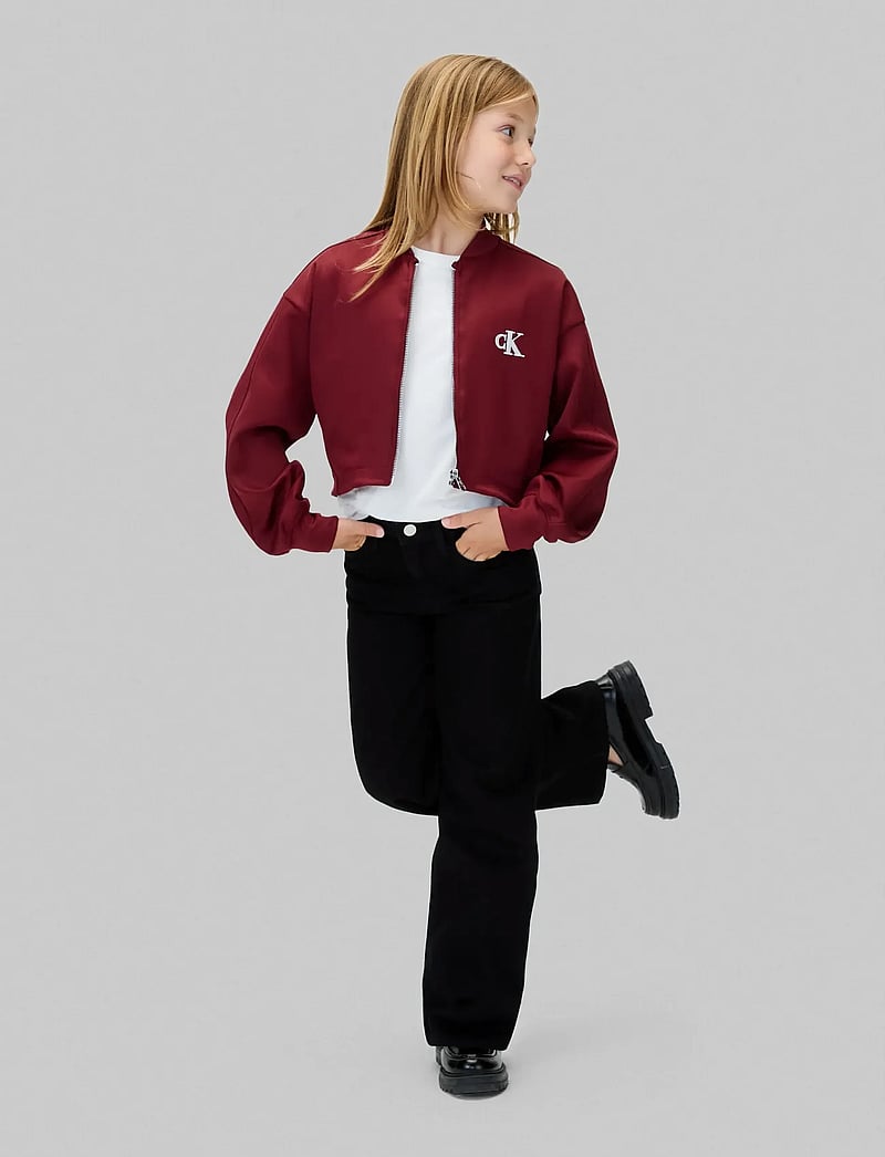 Calvin Klein - TRICOT BOMER JACKET - bomberjakker - raspberry chocolate - 5