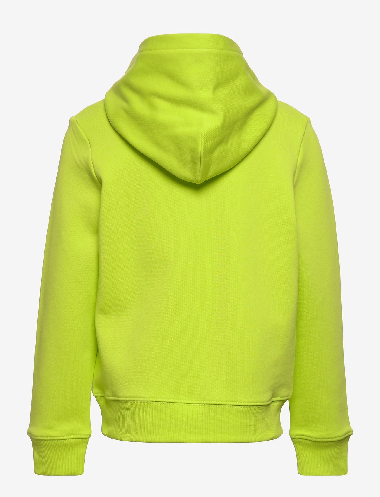 Calvin Klein - MONOGRAM HOODIE - acid lime - 1
