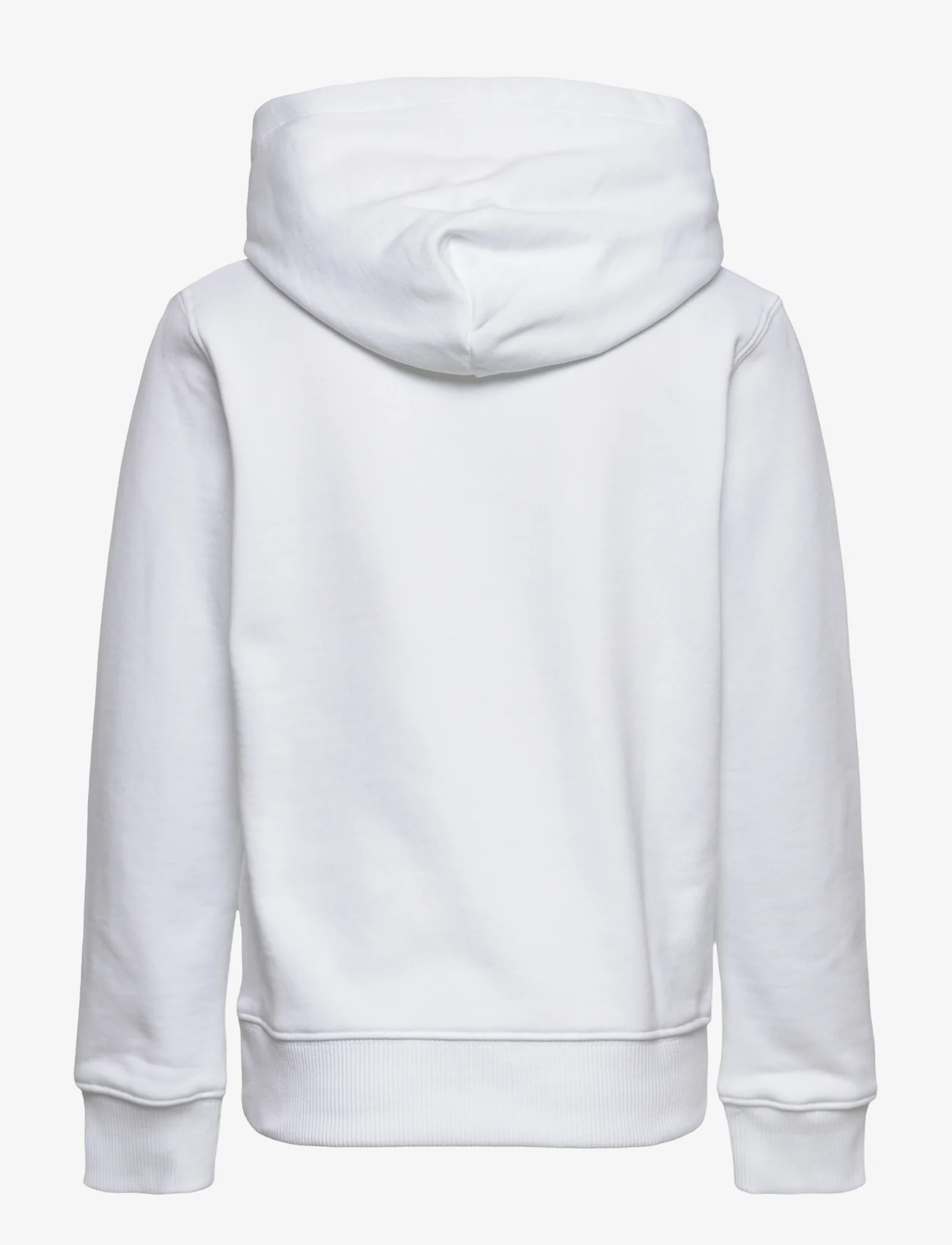 Calvin Klein - SMALL MONOGRAM HOODIE - džemperi ar kapuci - bright white - 1