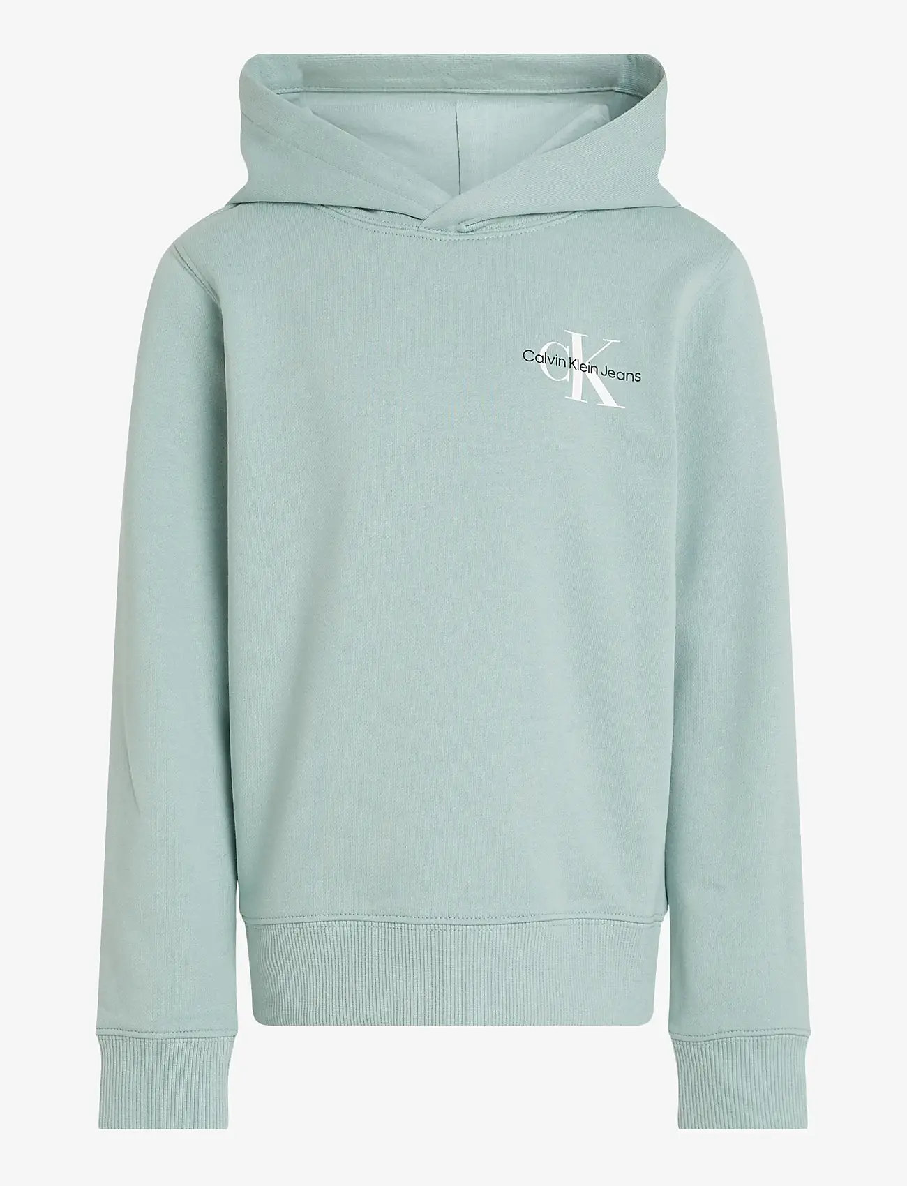 Calvin Klein - SMALL MONOGRAM HOODIE - kapuutsiga dressipluusid - green surf - 1