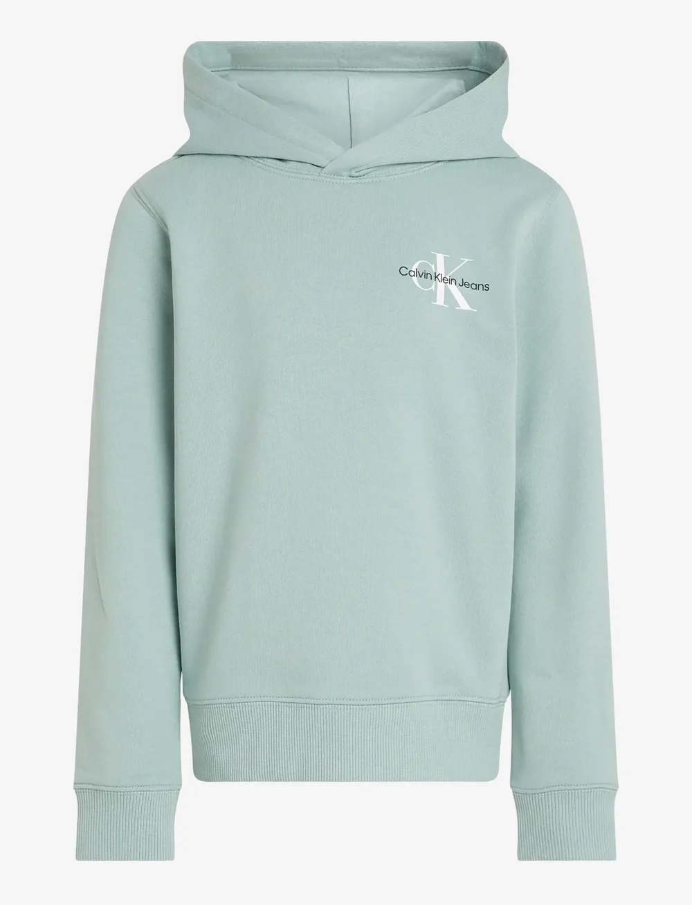 Calvin Klein - SMALL MONOGRAM HOODIE - kapuzenpullover - green surf - 1