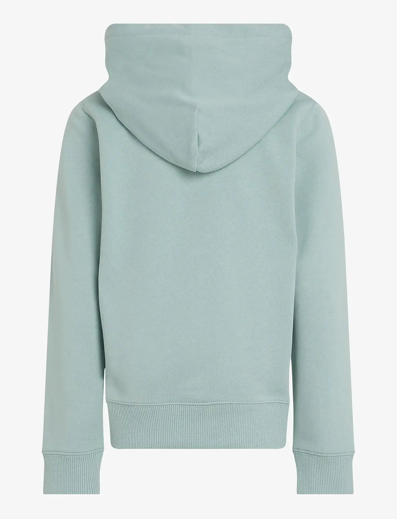 Calvin Klein - SMALL MONOGRAM HOODIE - kapuutsiga dressipluusid - green surf - 2