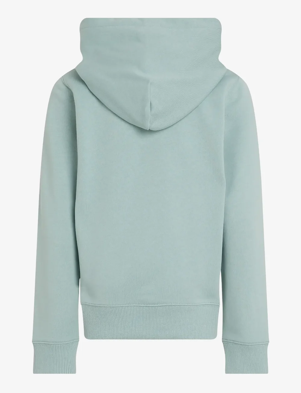 Calvin Klein - SMALL MONOGRAM HOODIE - kapuzenpullover - green surf - 2
