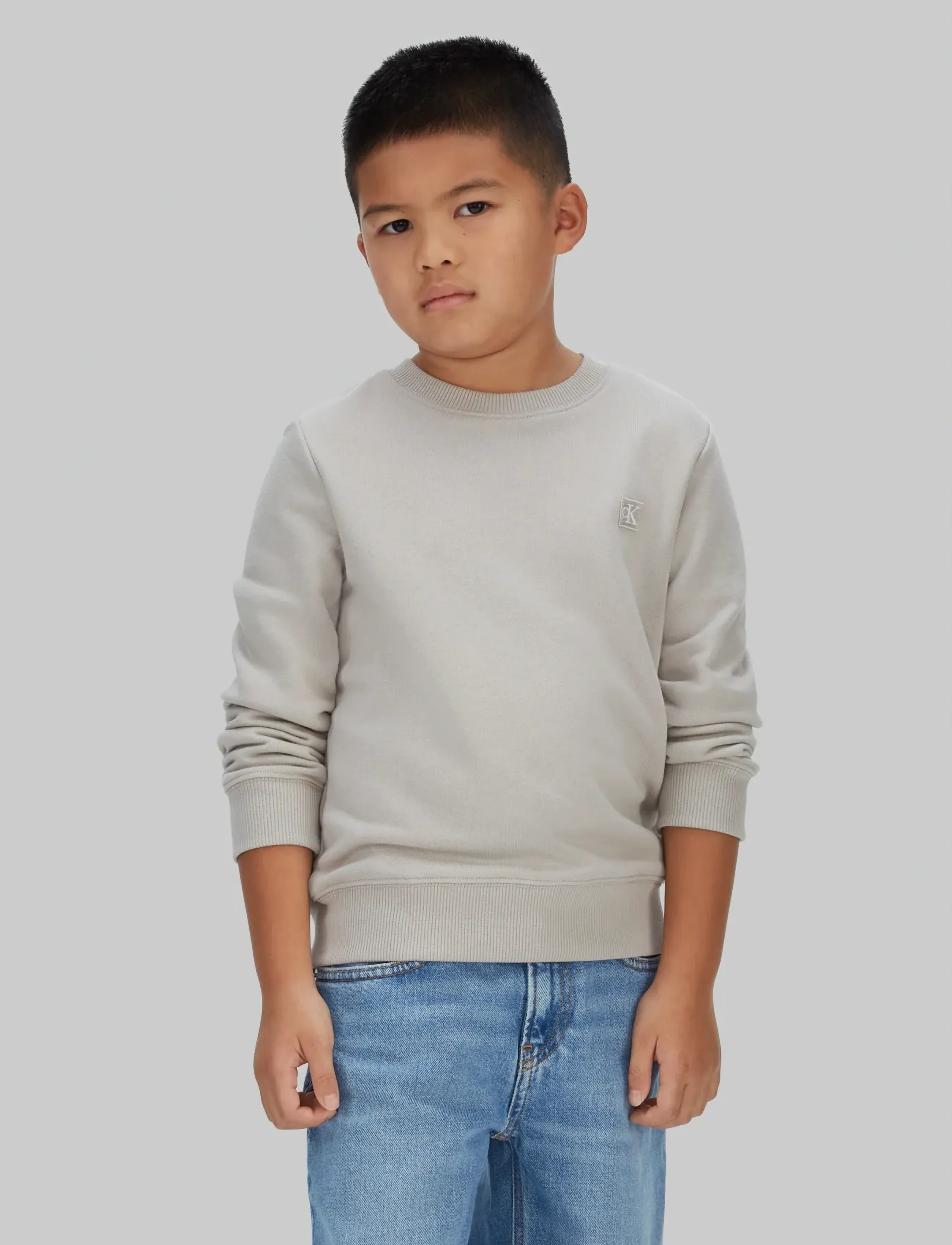 Calvin Klein MONO MINI BADGE REG CN - Sweatshirts - ANCIENT MARBLE / beige