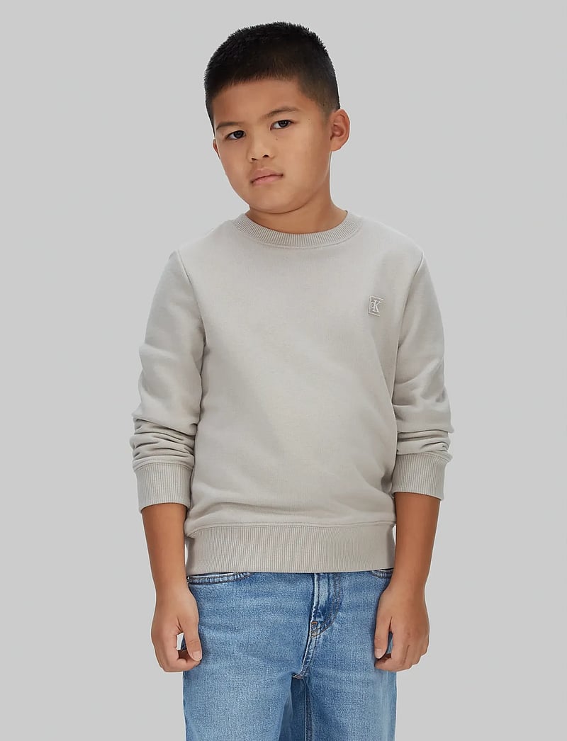 Calvin Klein - MONO MINI BADGE REG CN - sweatshirts - ancient marble - 0