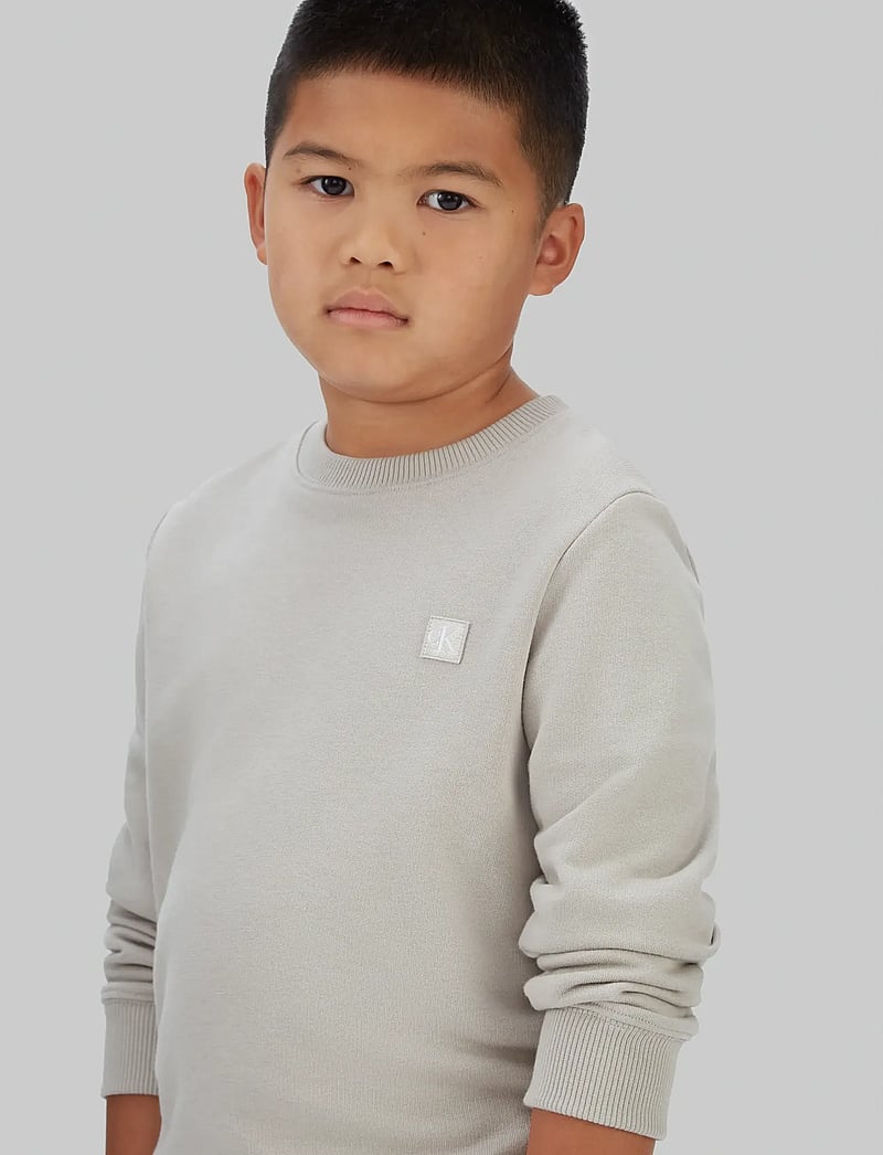 Calvin Klein - MONO MINI BADGE REG CN - sweatshirts - ancient marble - 3