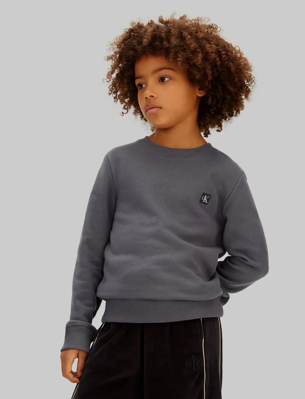 Calvin Klein - MONO MINI BADGE REG CN - sweatshirts - coal - 2