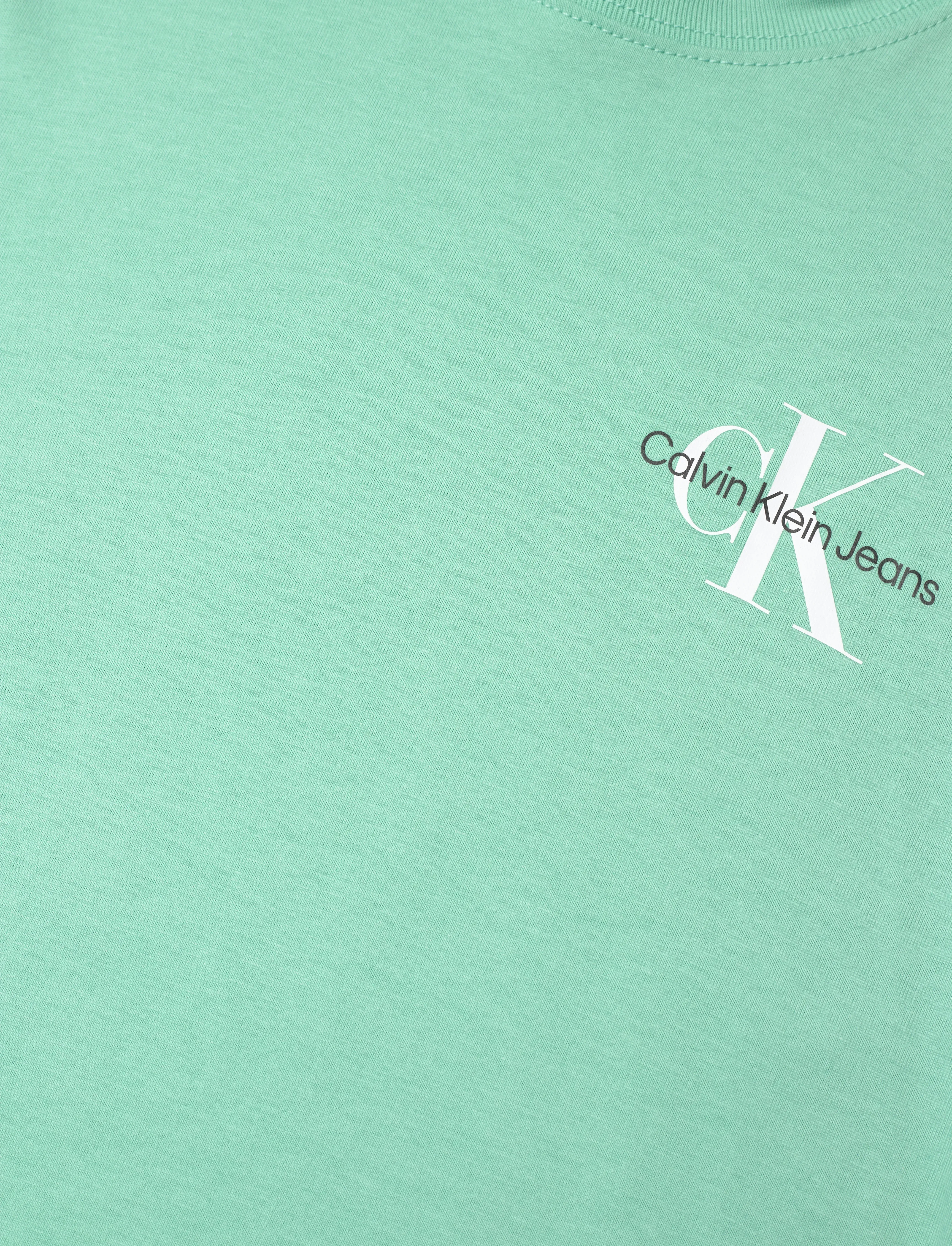 Calvin Klein - CHEST MONOGRAM T-SHIRT - kortærmede t-shirts - tickled green - 2