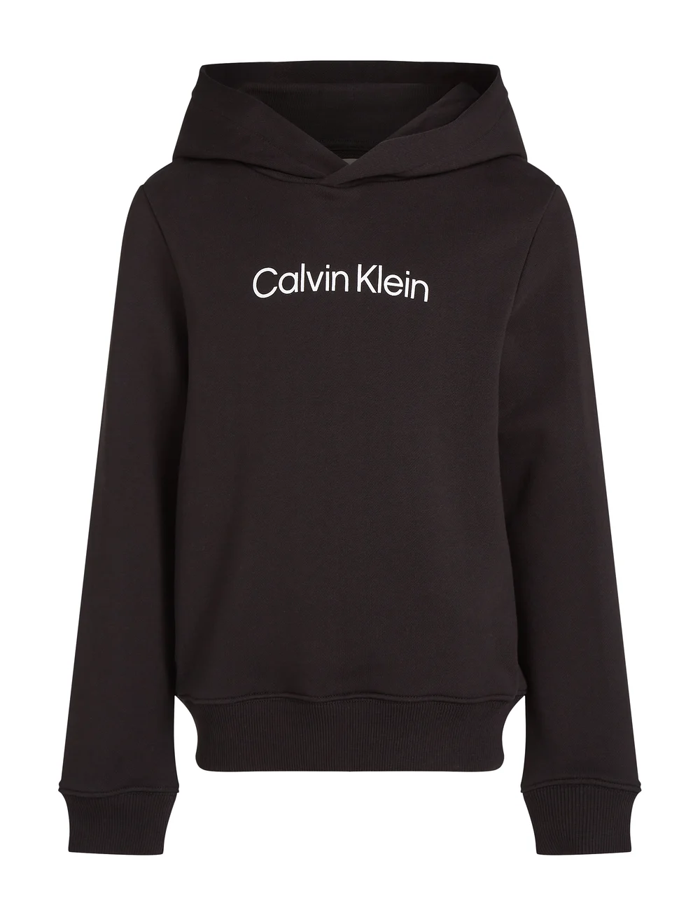 Calvin Klein - INST. LOGO REG. TERRY HOODIE - kapuutsiga dressipluusid - ck black - 1