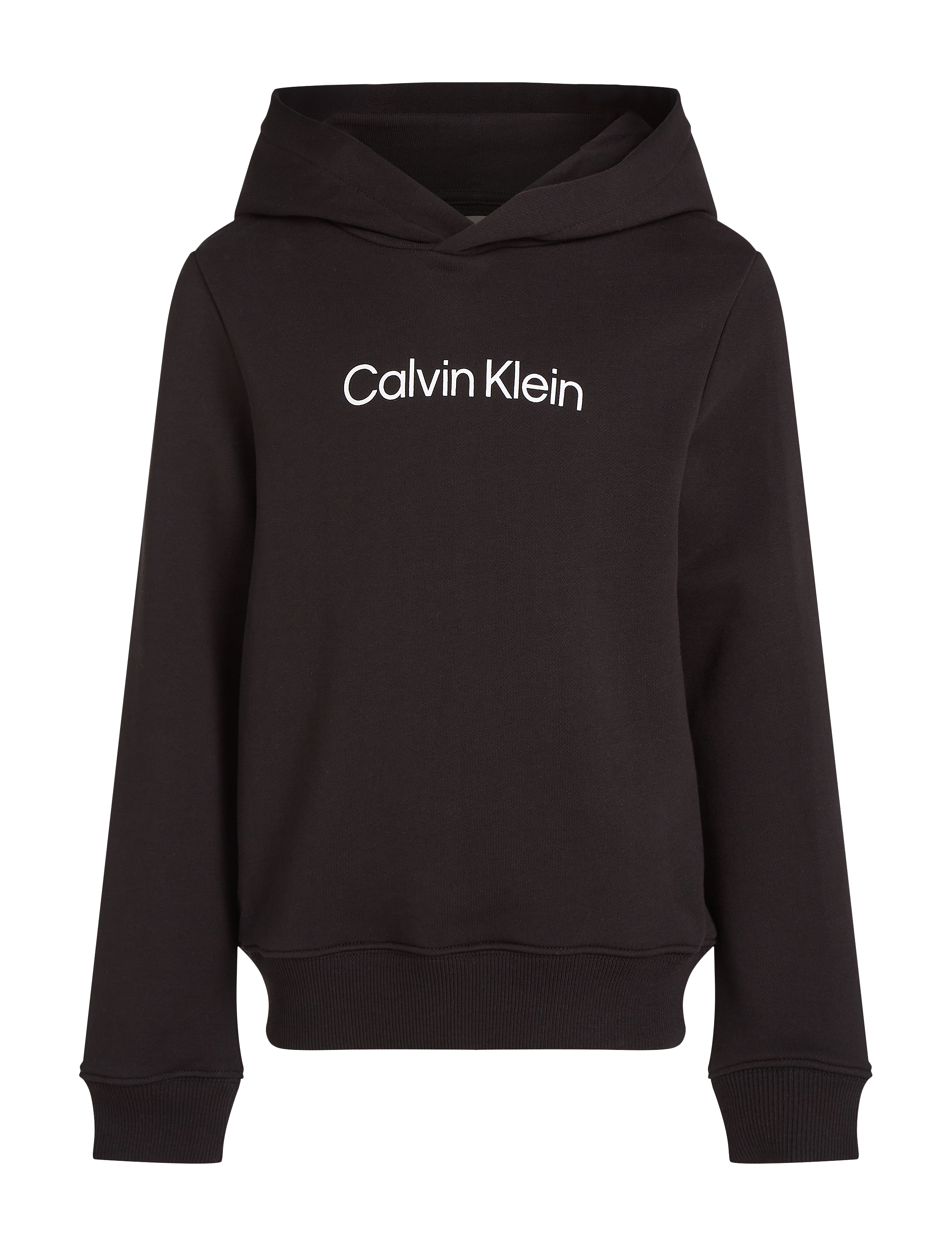 Calvin Klein INST. LOGO REG. TERRY HOODIE - App deal - CK BLACK / black